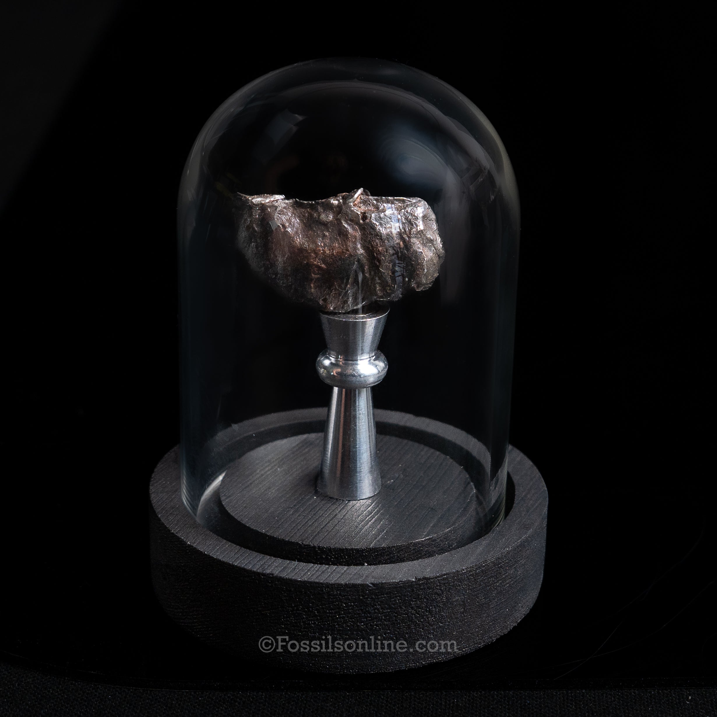 Genuine Sikhote-Alin Meteorite in Glass Dome