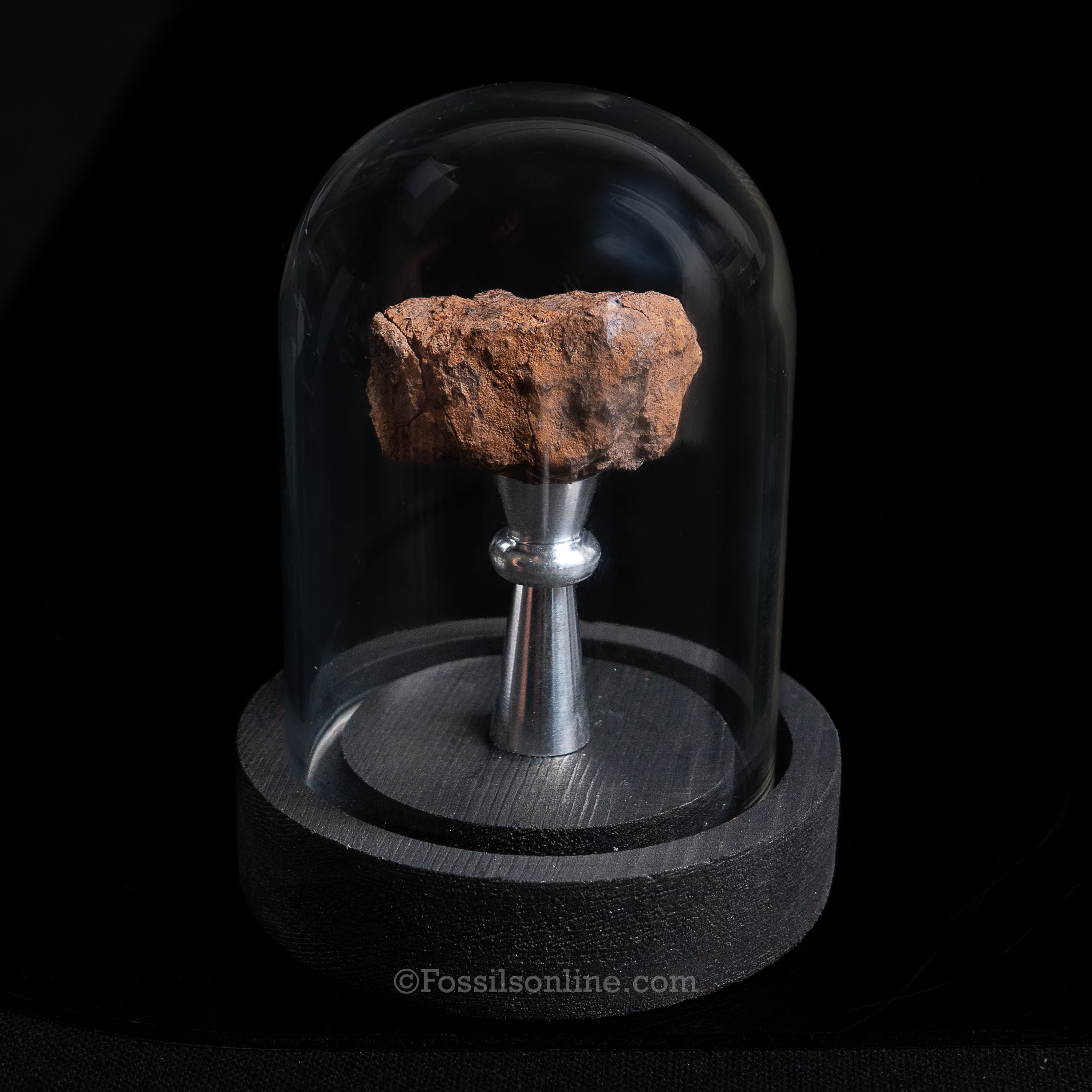 Genuine Vaca Muerta Meteorite in Glass Dome