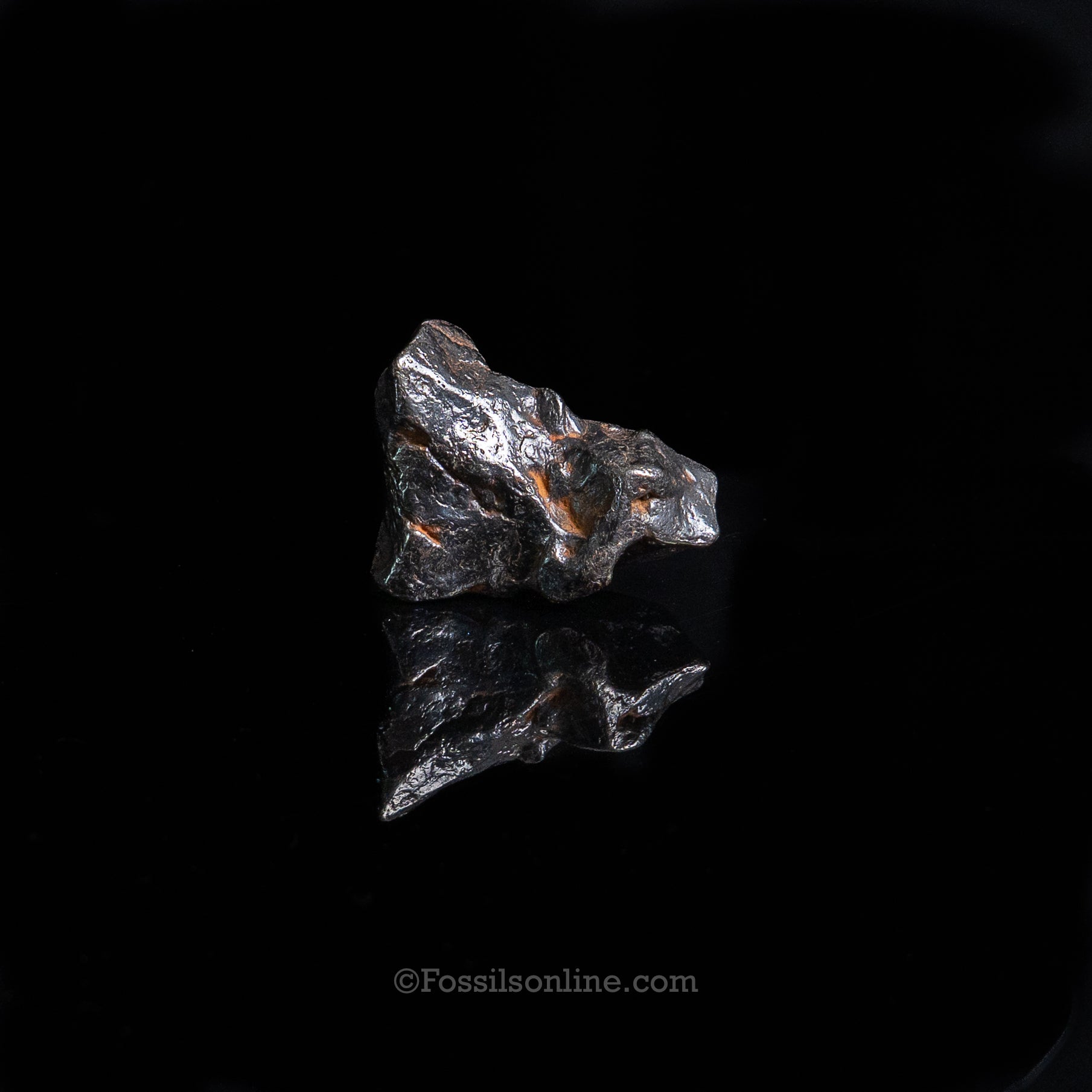 Genuine Campo del Cielo Meteorite in Glass Dome