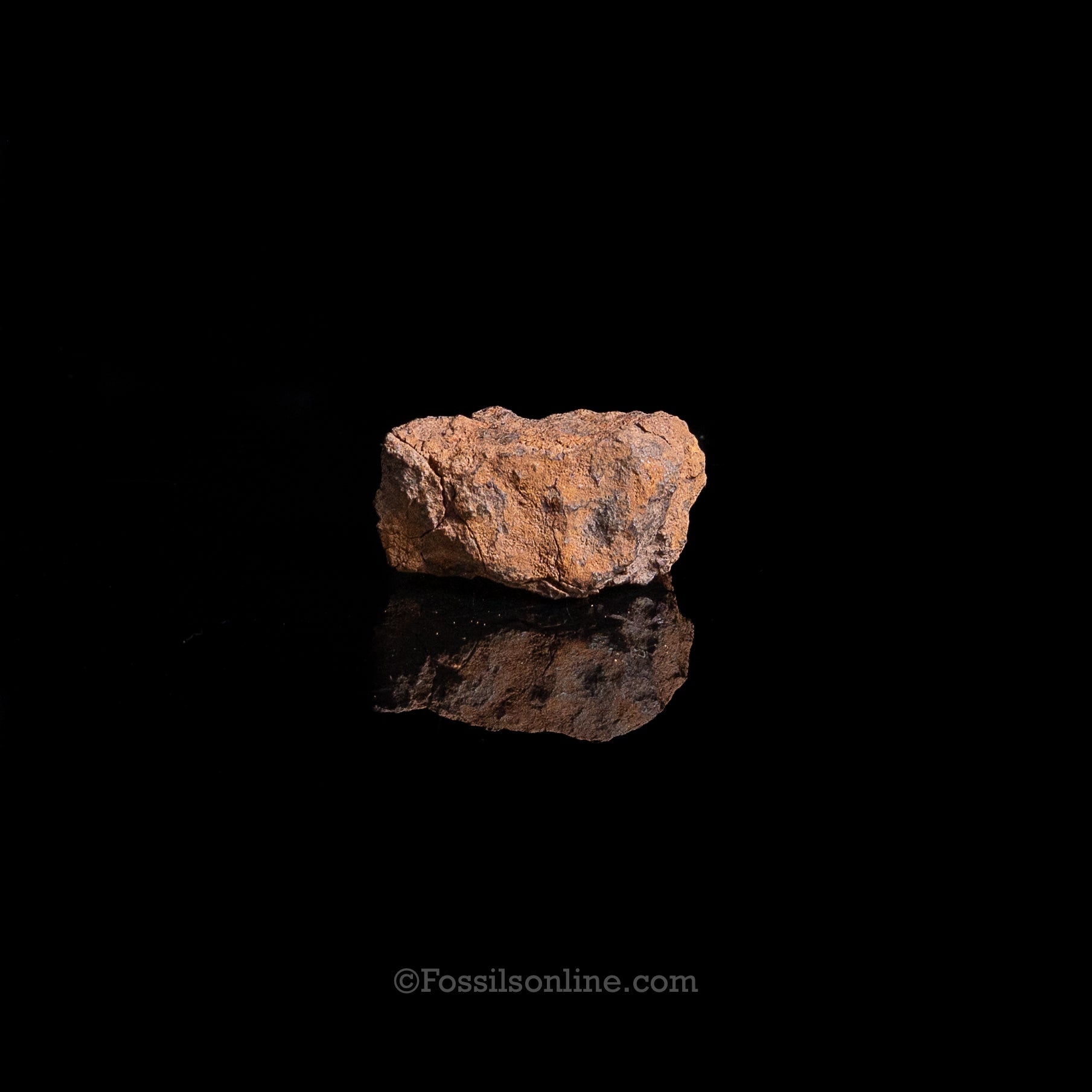 Genuine Vaca Muerta Meteorite in Glass Dome