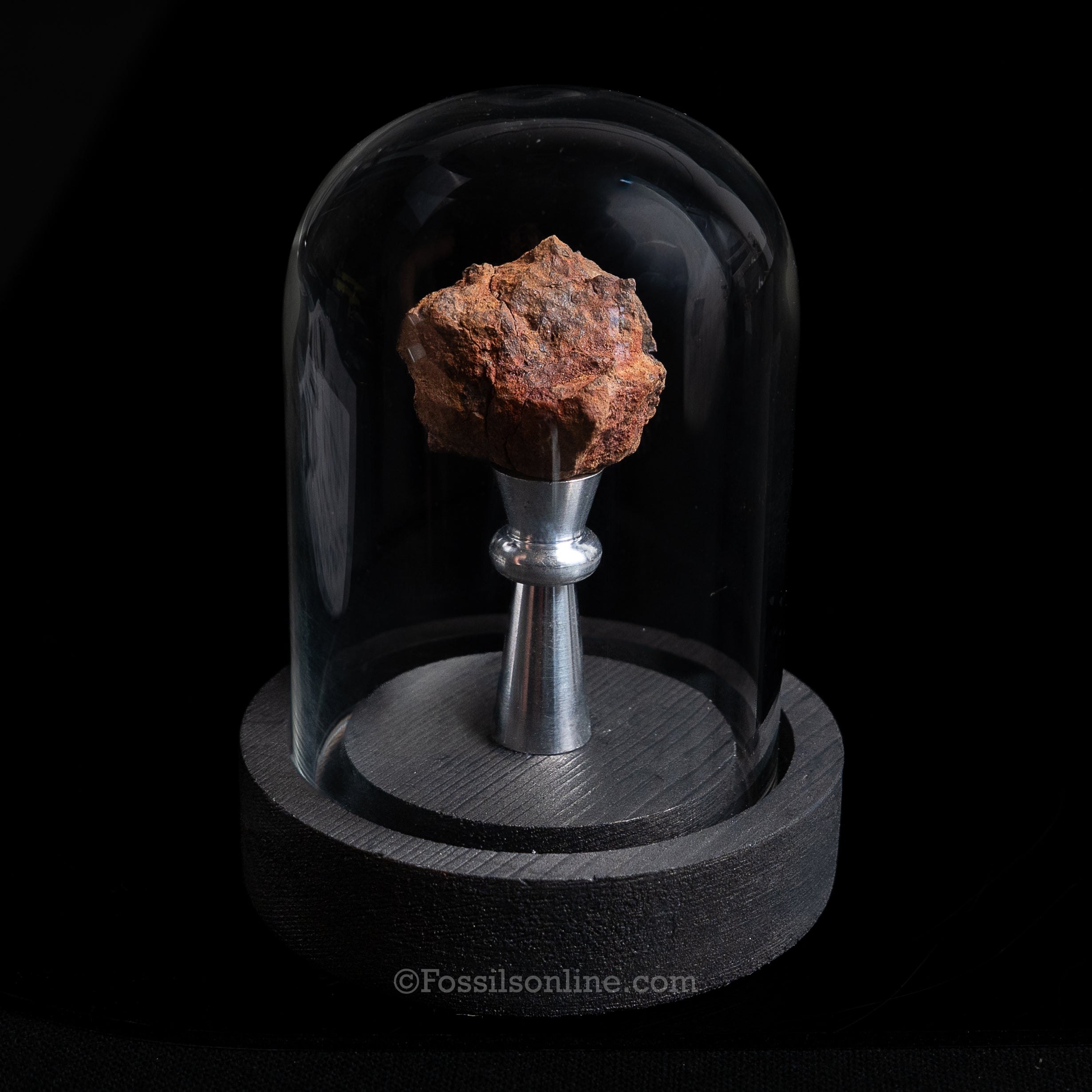 Genuine Vaca Muerta Meteorite in Glass Dome