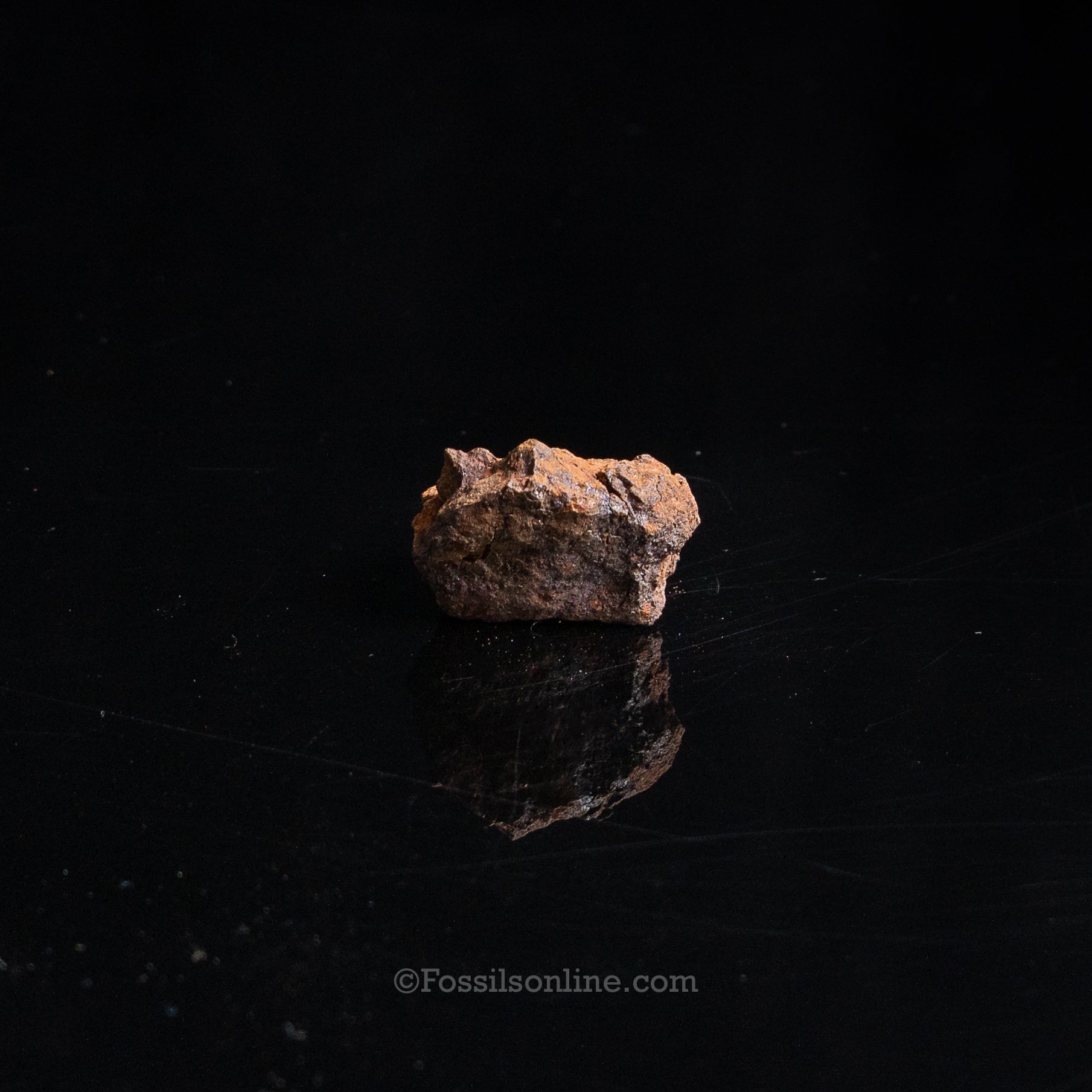 Genuine Vaca Muerta Meteorite in Glass Dome