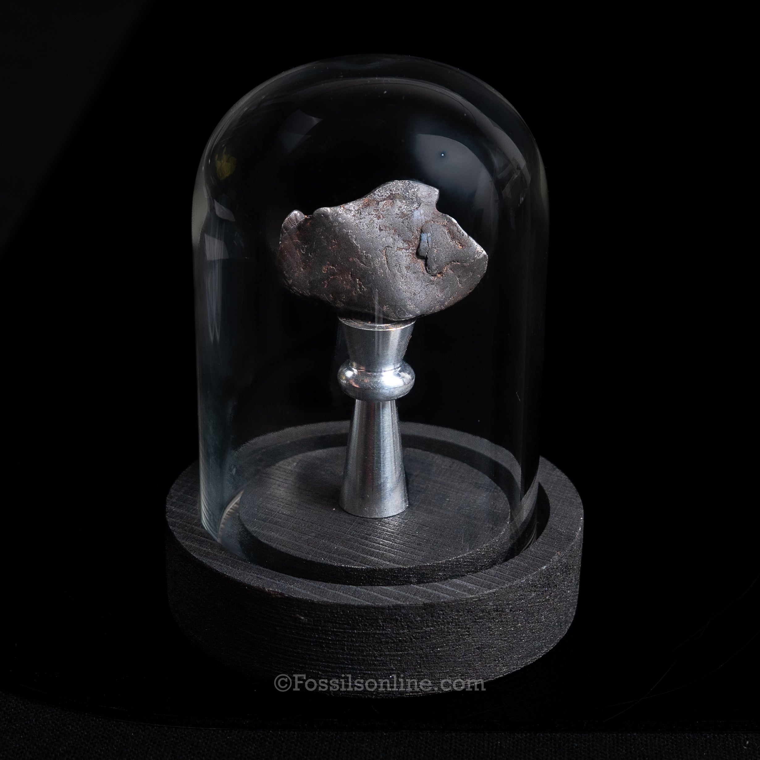Genuine Canyon Diablo Meteorite in Glass Dome