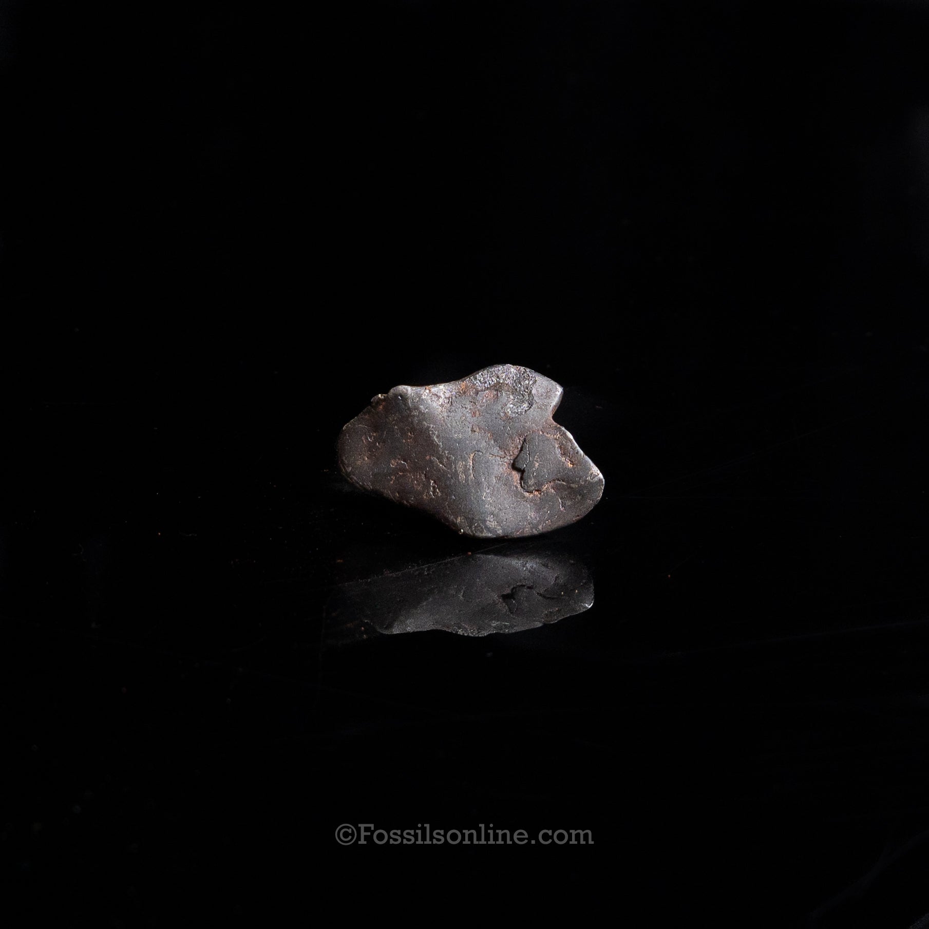 Genuine Canyon Diablo Meteorite in Glass Dome