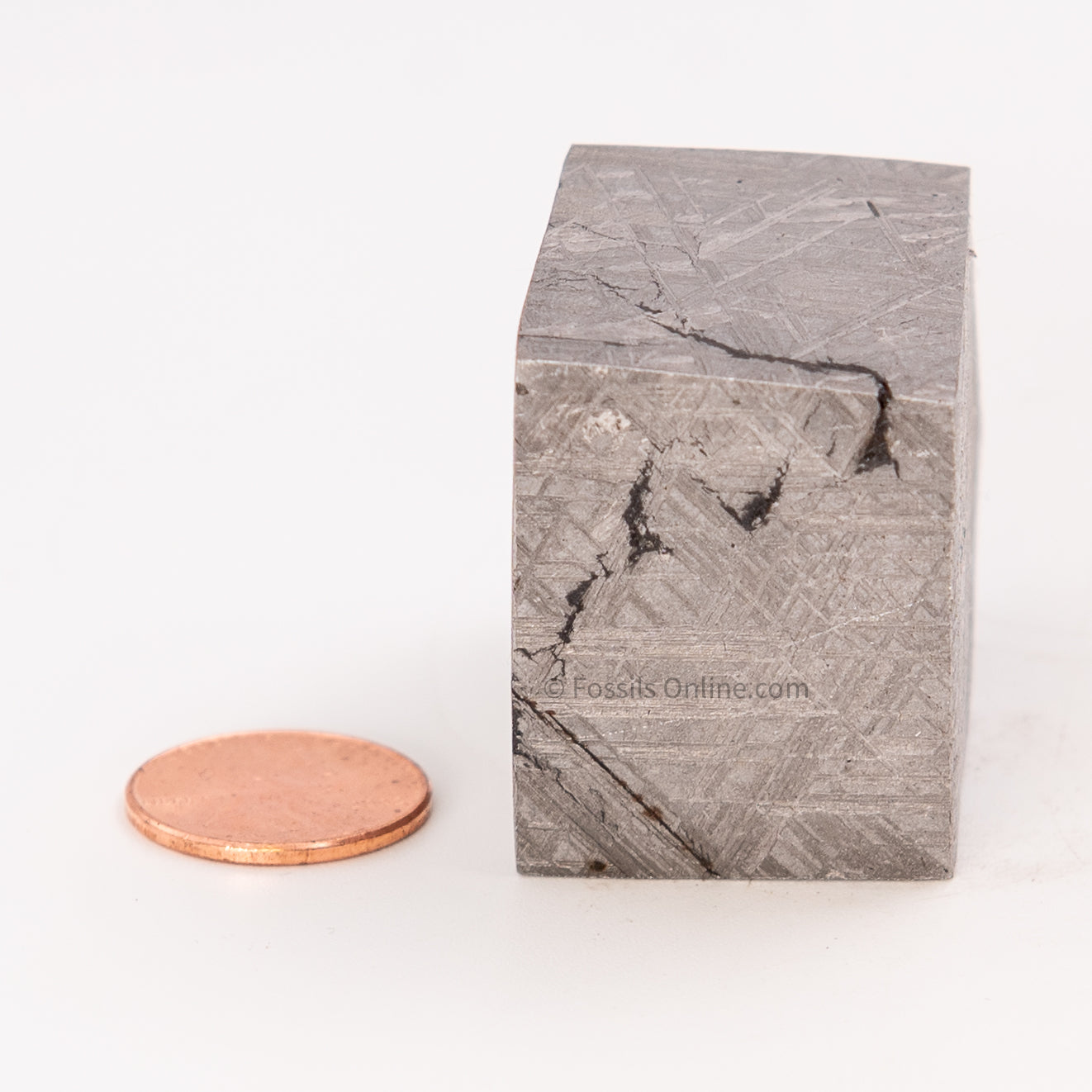 Muonionalusta Meteorite Block 297gr