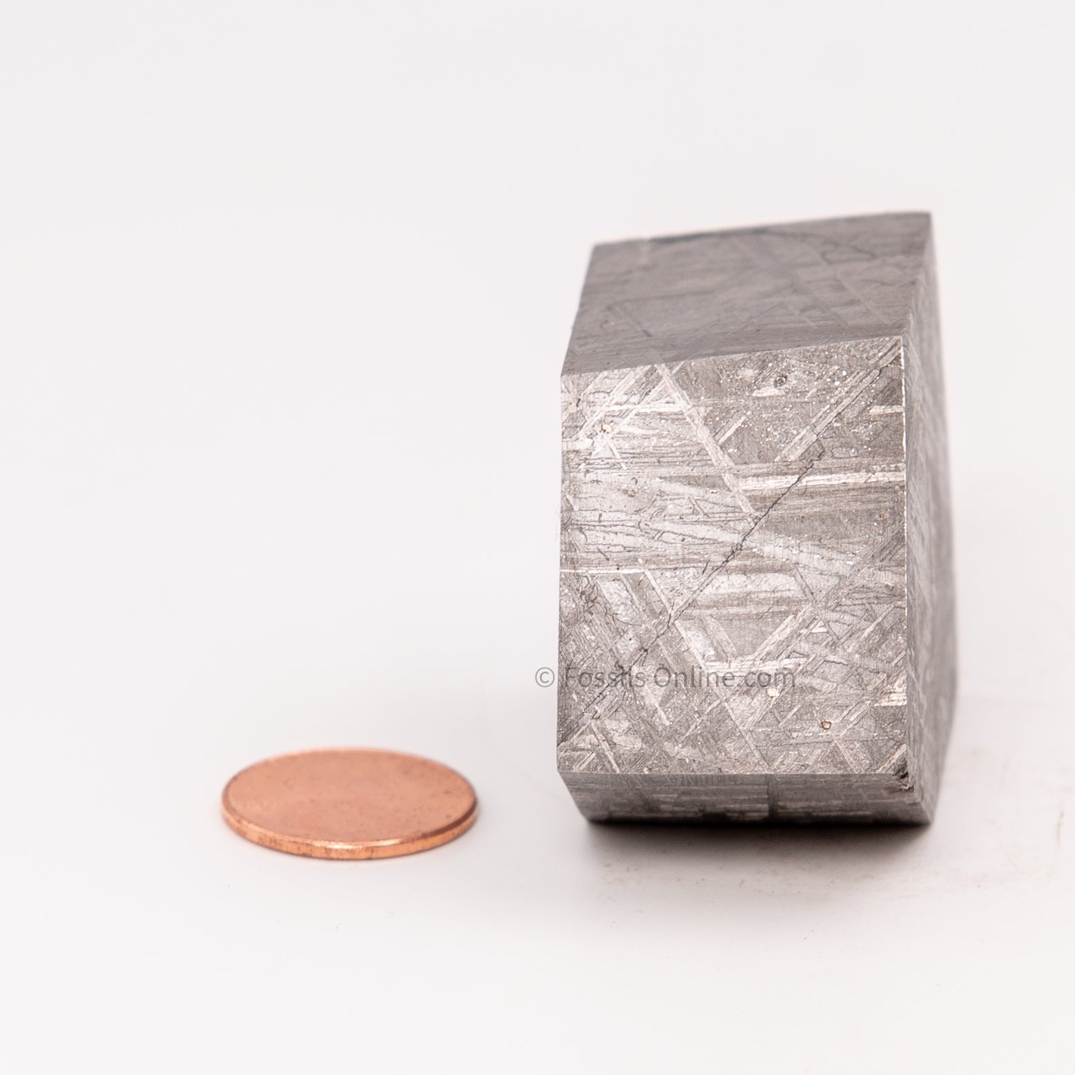 Muonionalusta Meteorite Block 297gr