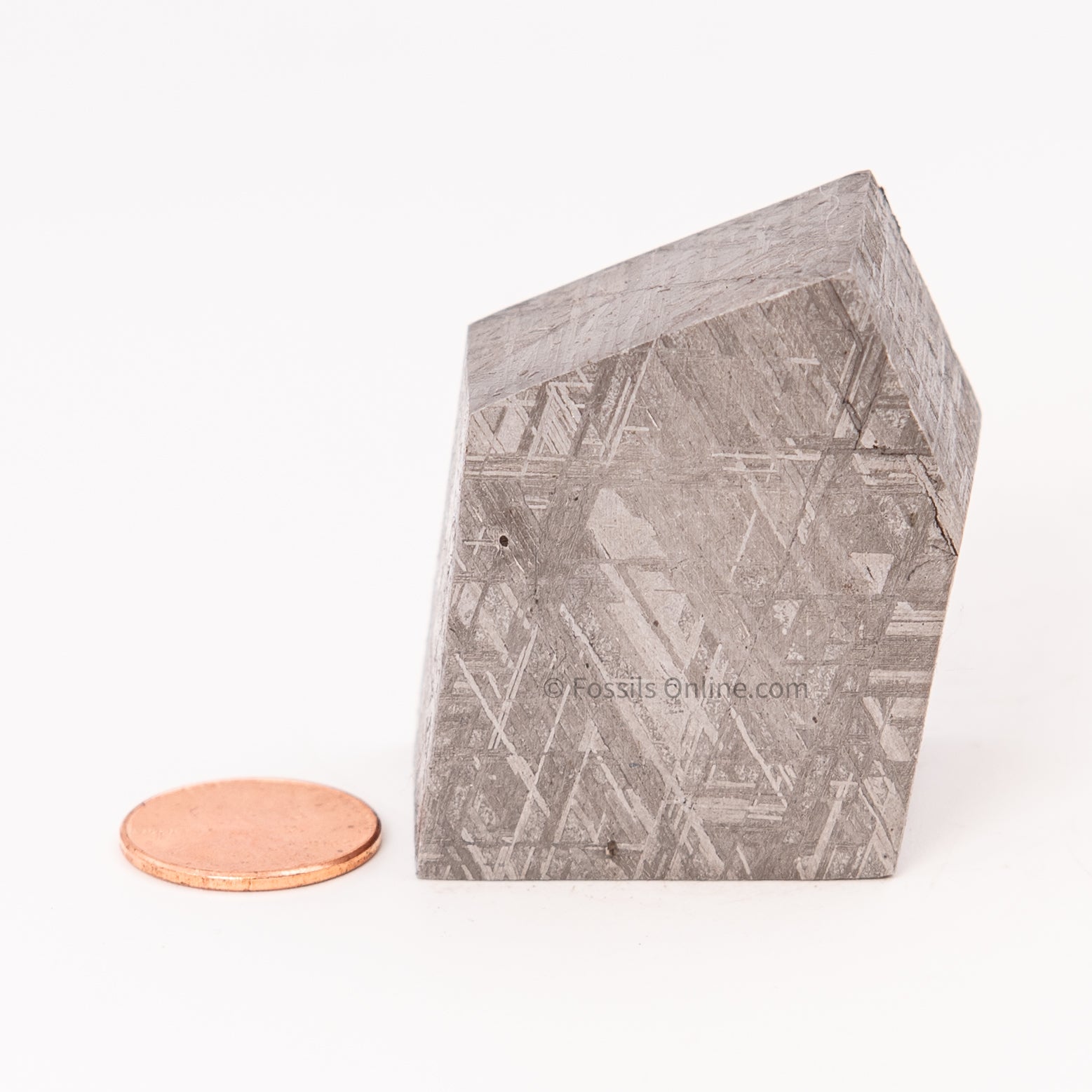 Muonionalusta Meteorite Block 297gr