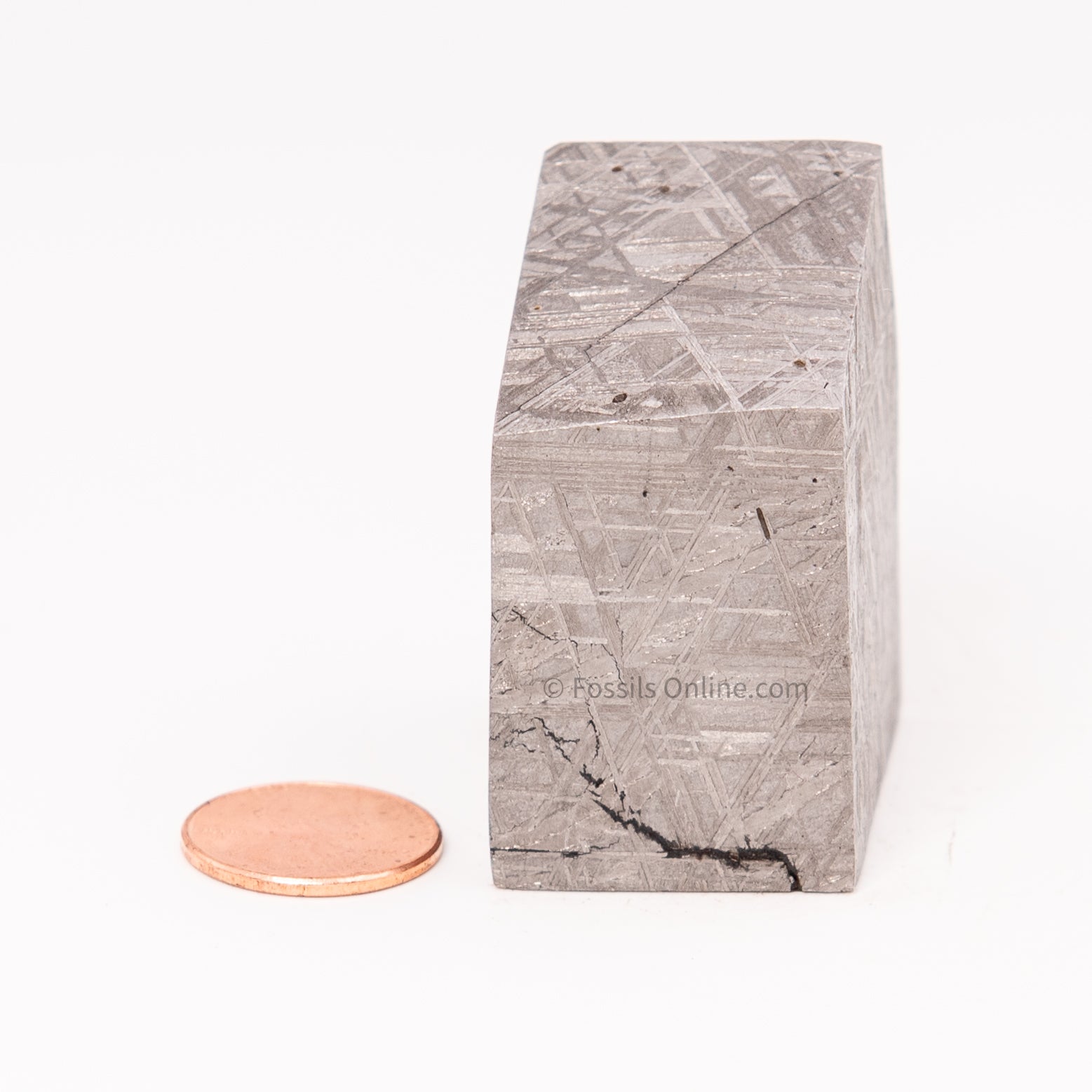 Muonionalusta Meteorite Block 297gr