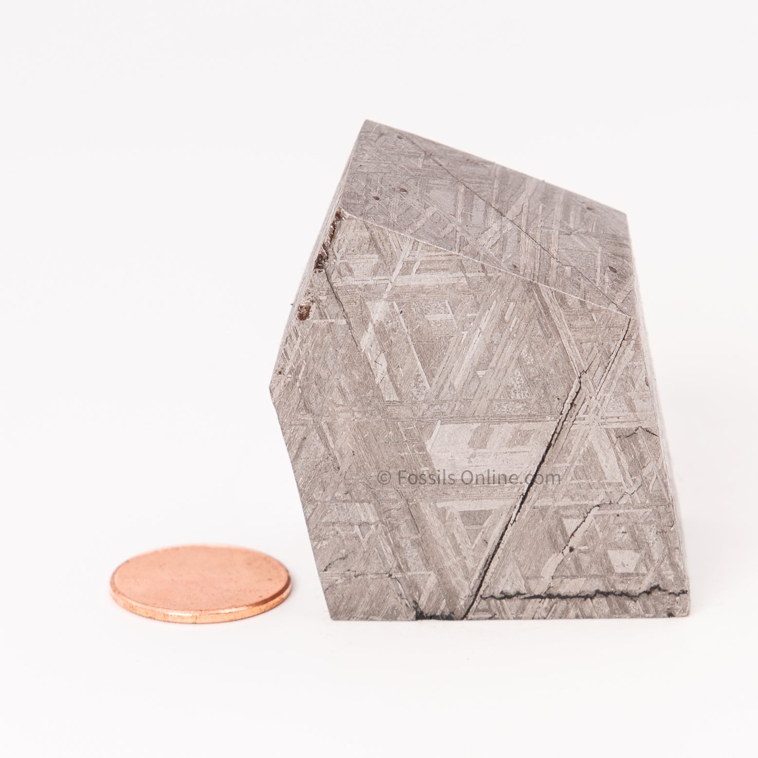 Muonionalusta Meteorite Block 297gr
