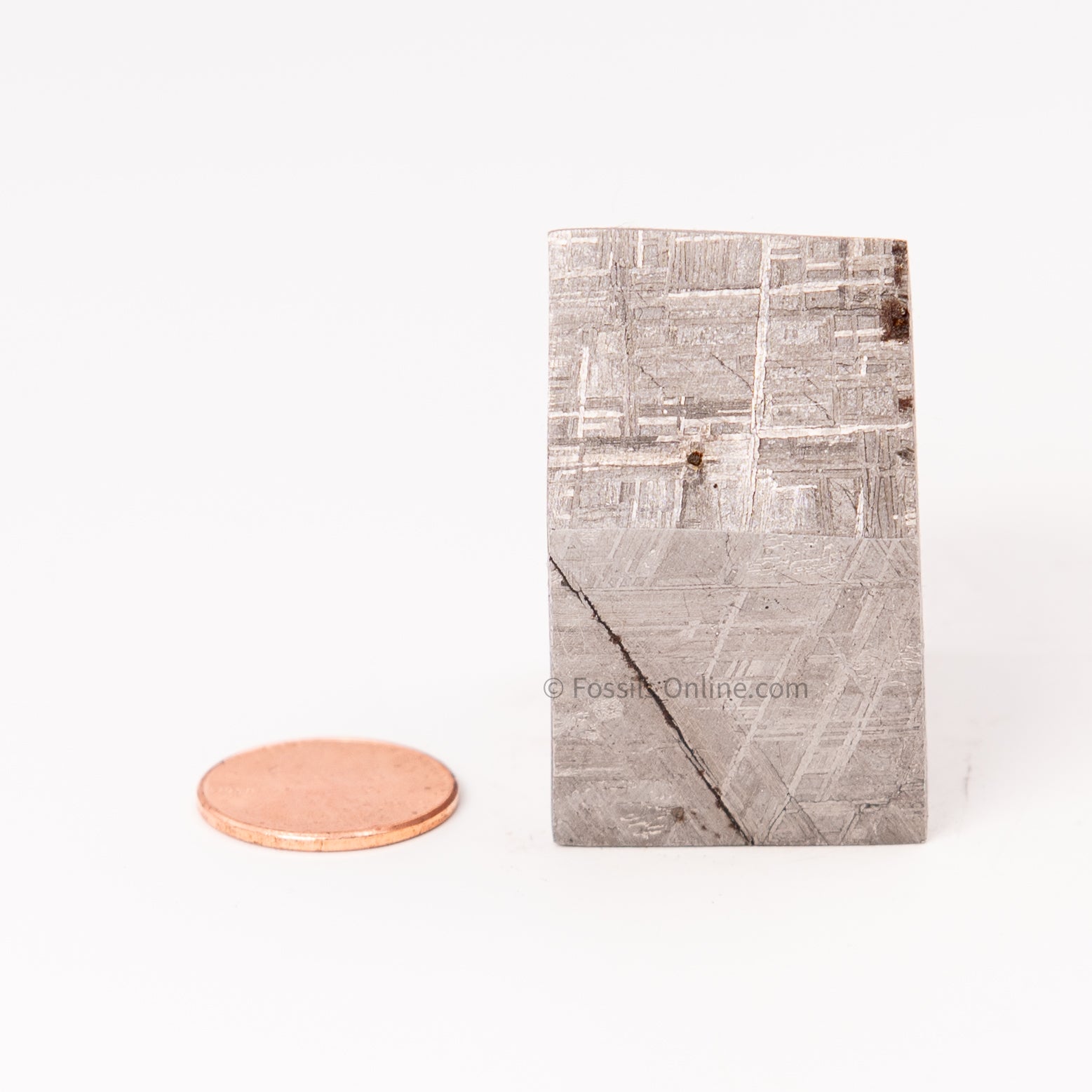Muonionalusta Meteorite Block 297gr