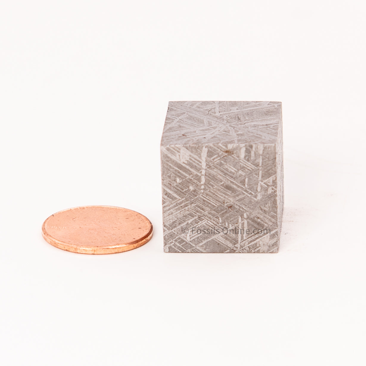 Muonionalusta Meteorite Cube 61gr