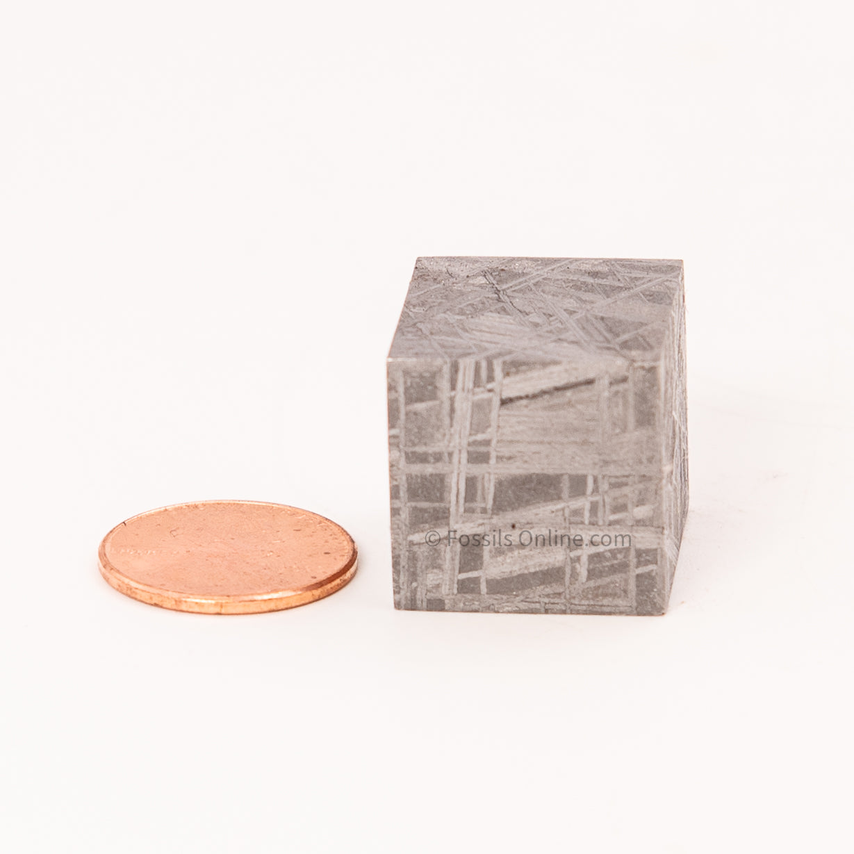 Muonionalusta Meteorite Cube 61gr