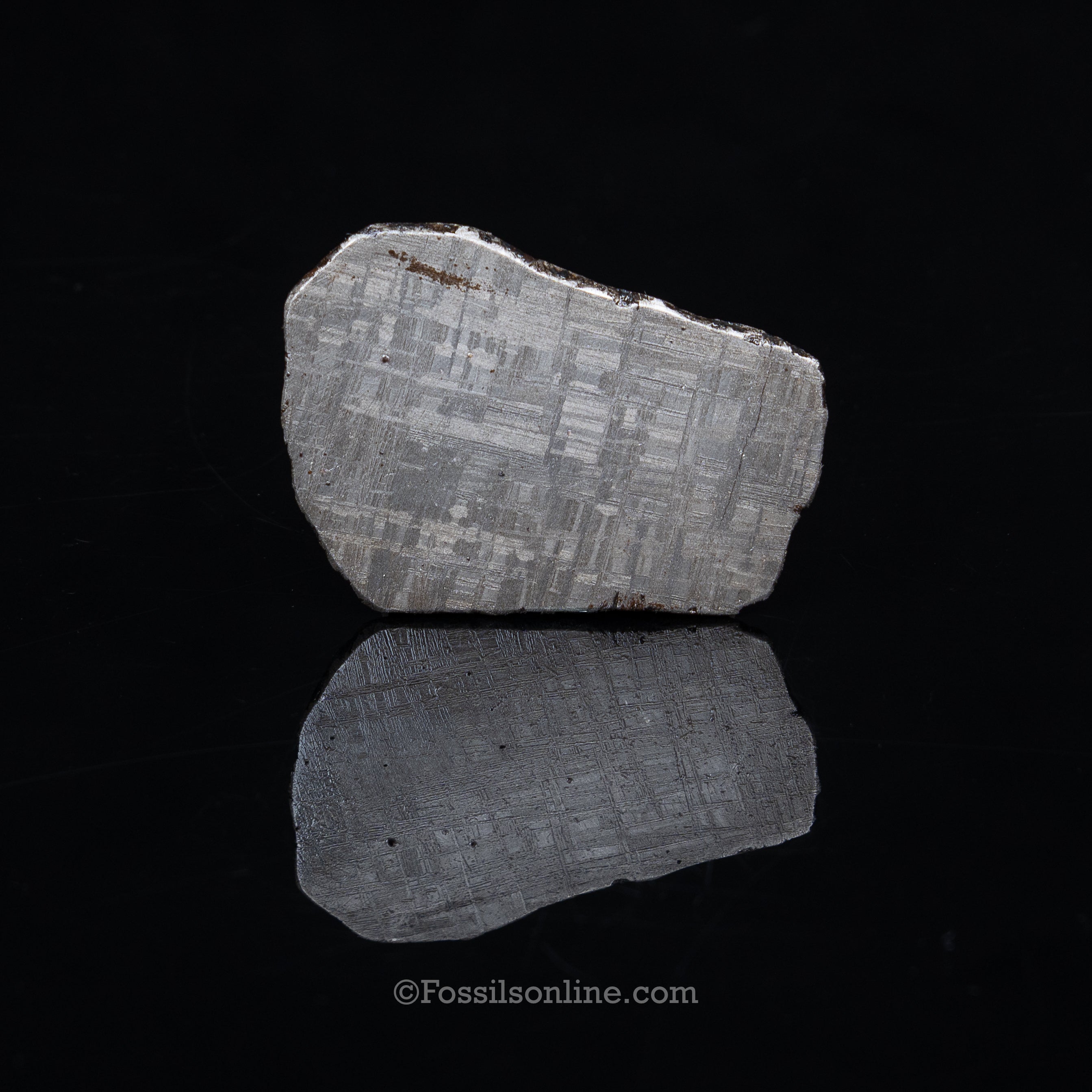 Muonionalusta Meteorite Slice 74.5gr