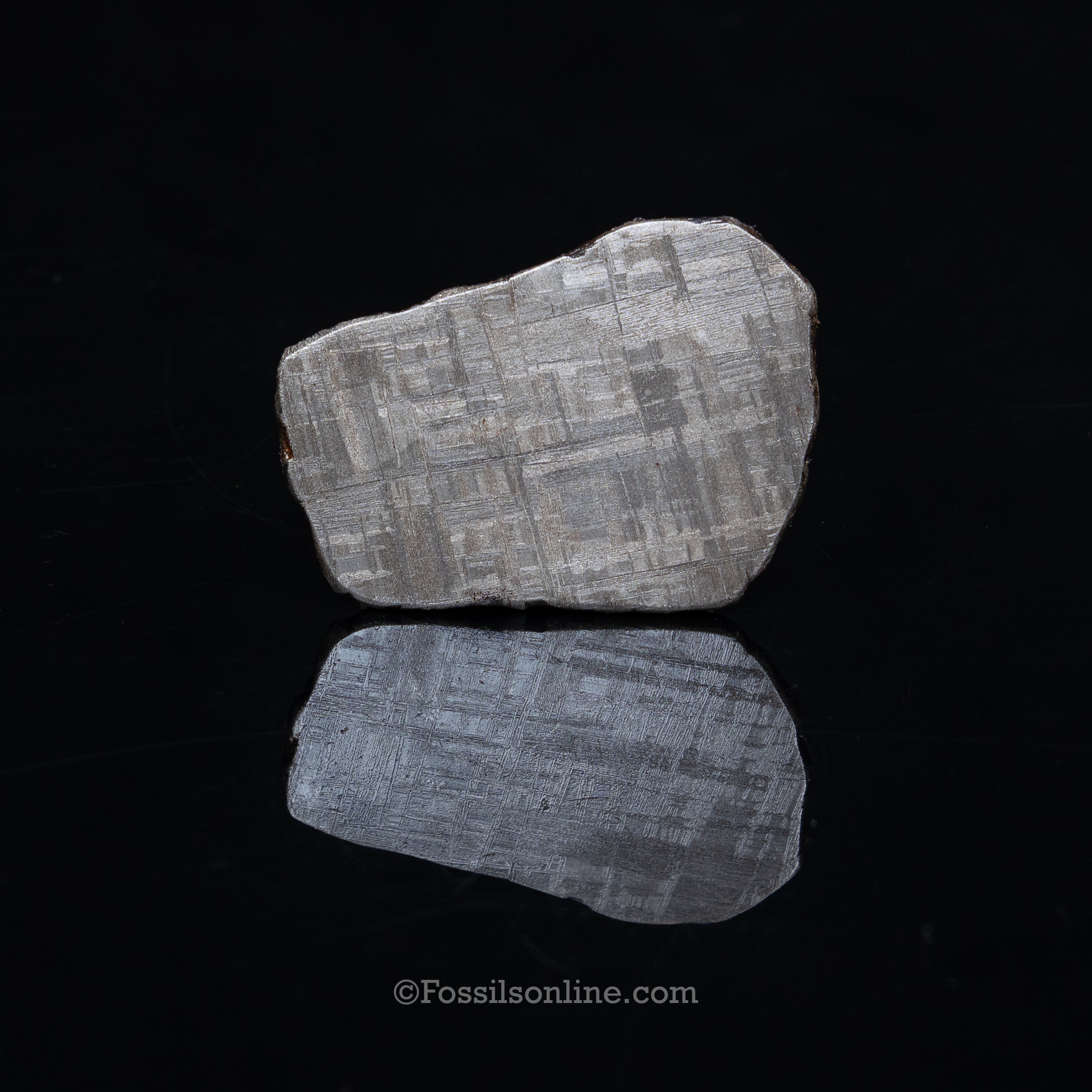 Muonionalusta Meteorite Slice 74.5gr