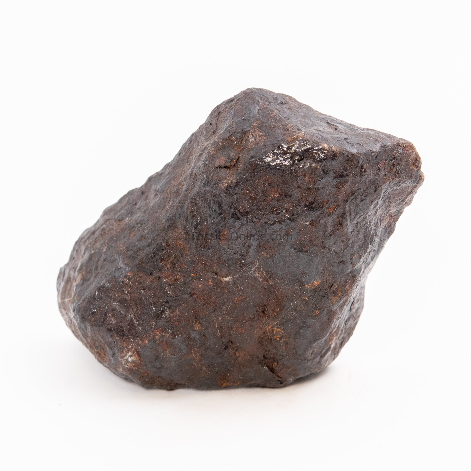 Muonionalusta Meteorite End Cut 1007gr and 1082 gr
