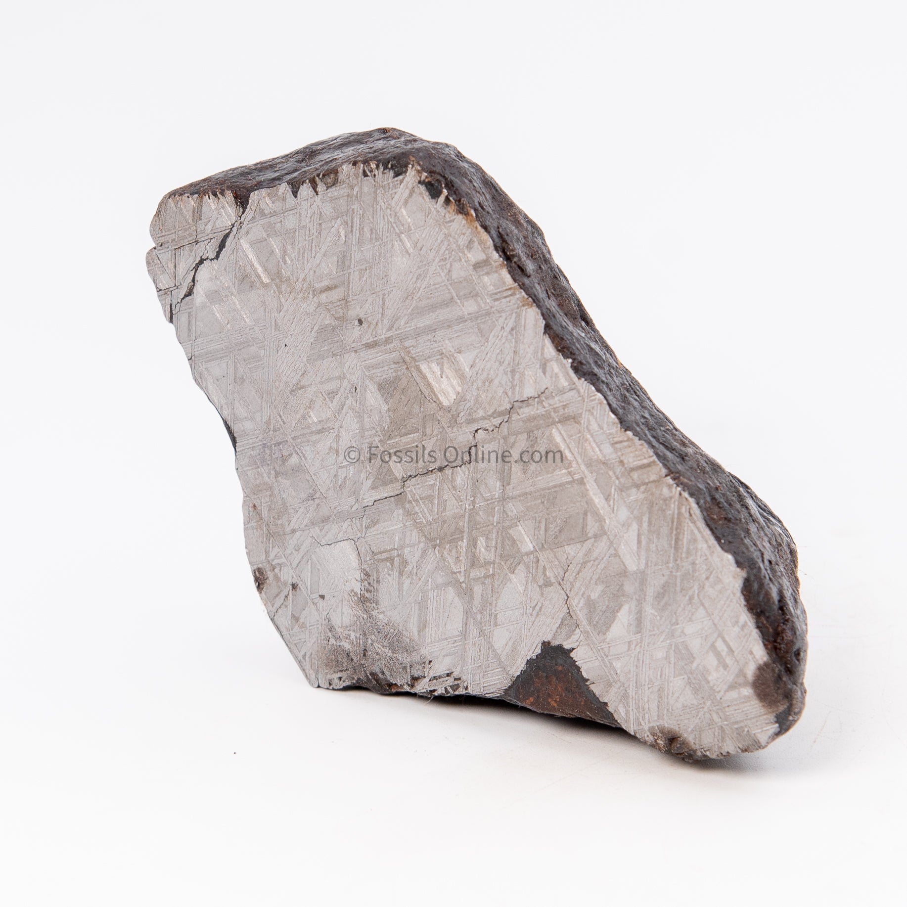 Muonionalusta Meteorite End Cut 1007gr and 1082 gr