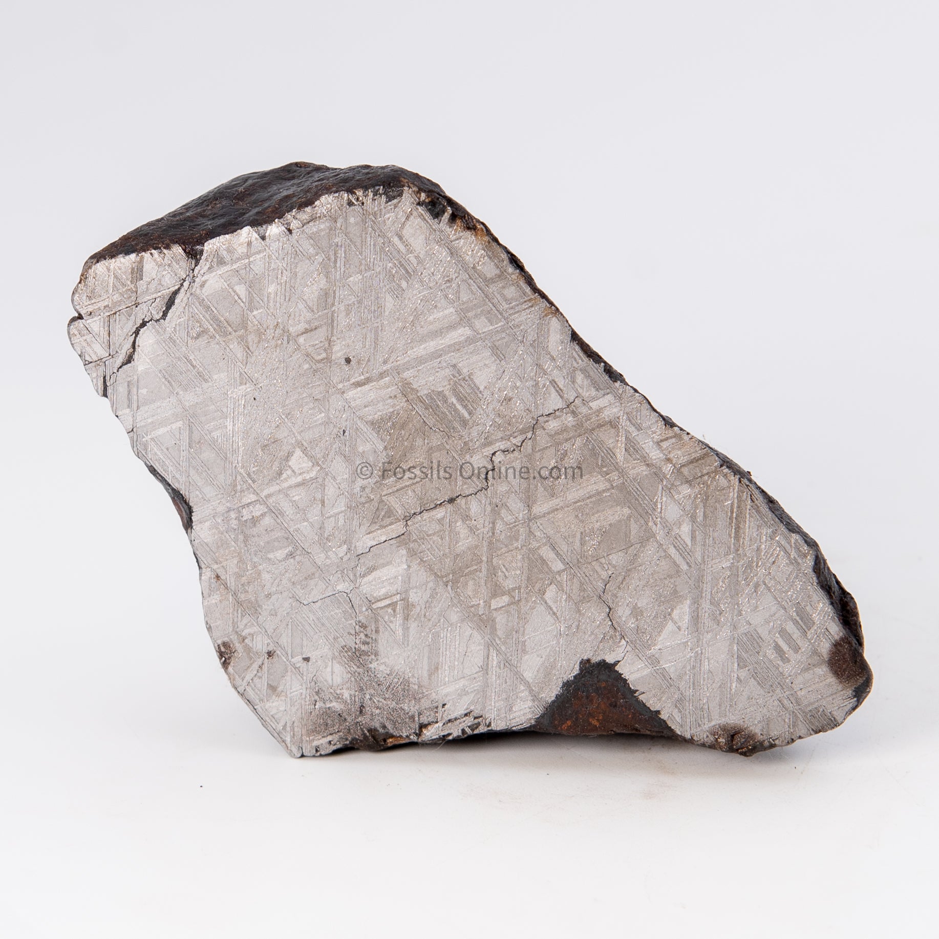 Muonionalusta Meteorite End Cut 1007gr and 1082 gr
