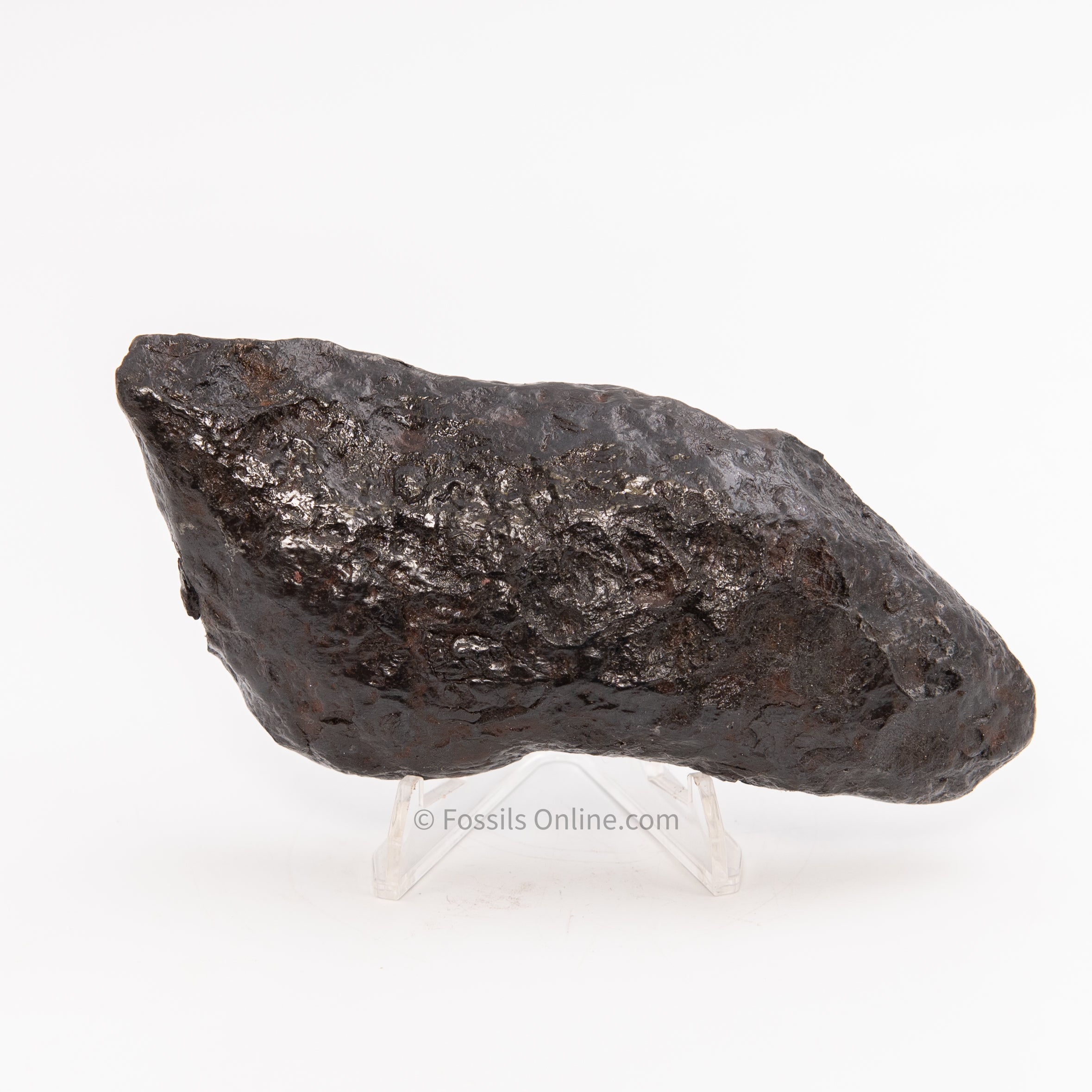 Muonionalusta Meteorite 1054gr