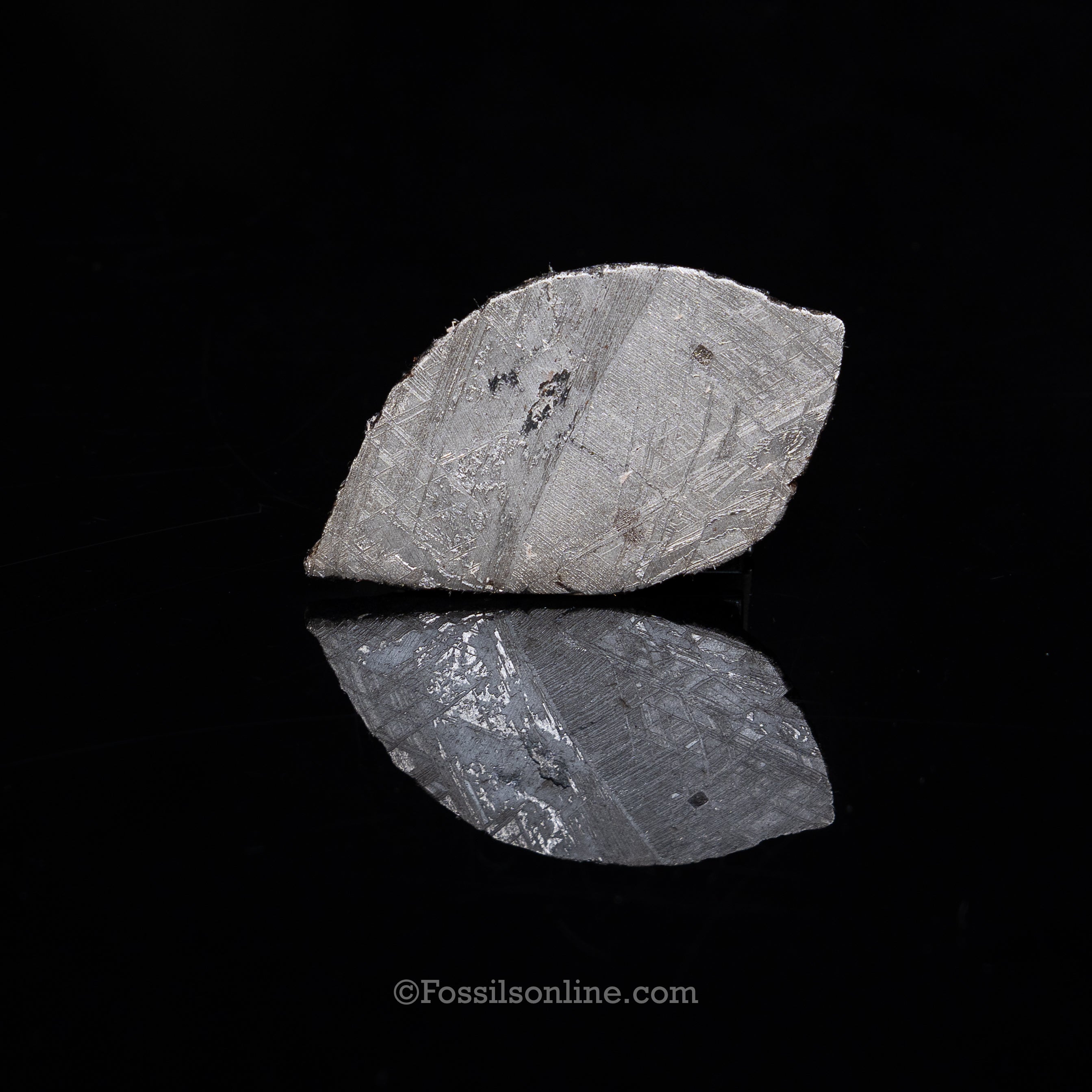 Muonionalusta Meteorite Slice 58gr