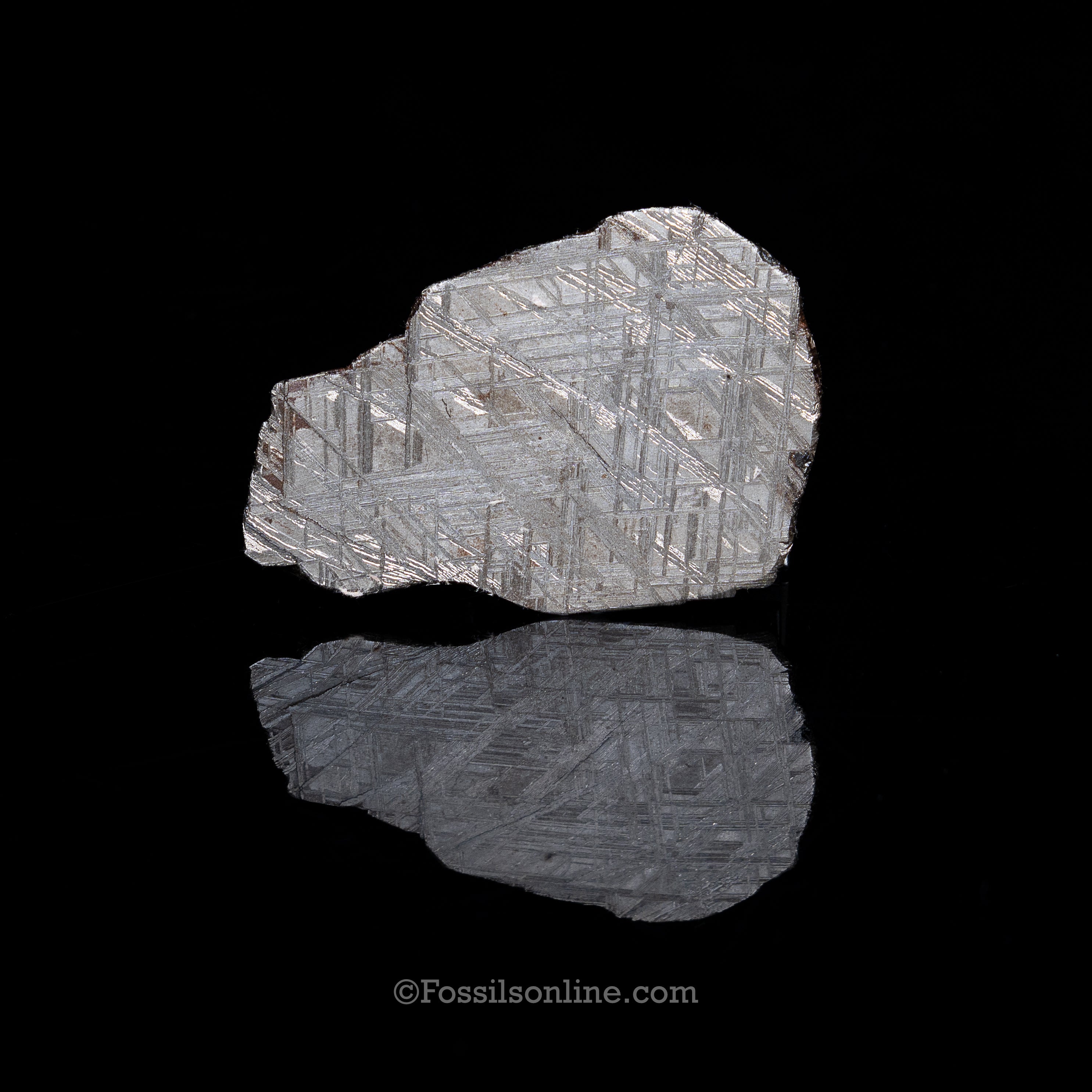 Muonionalusta Meteorite Slice 101gr