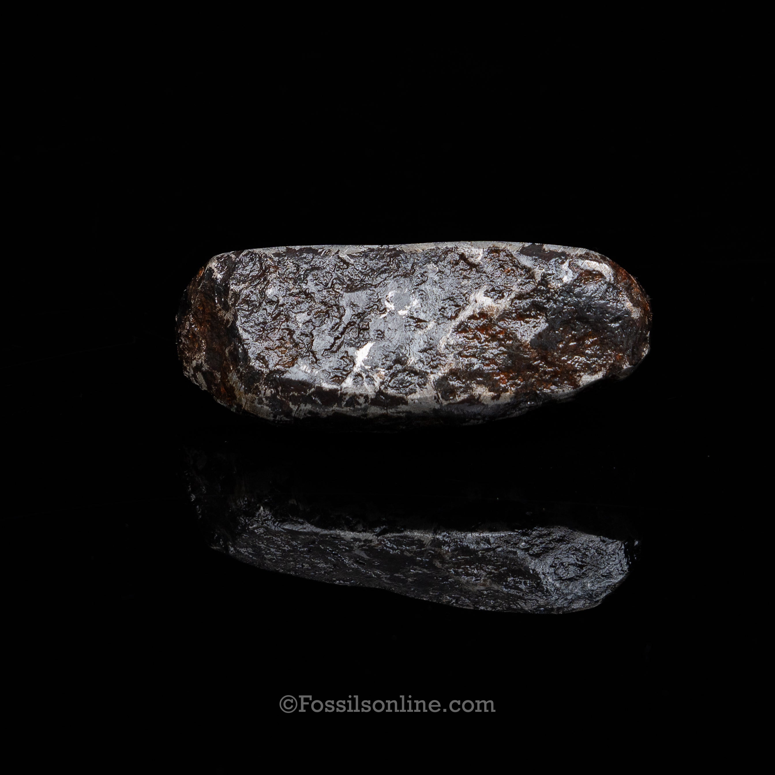 Muonionalusta Meteorite End cut 347gr