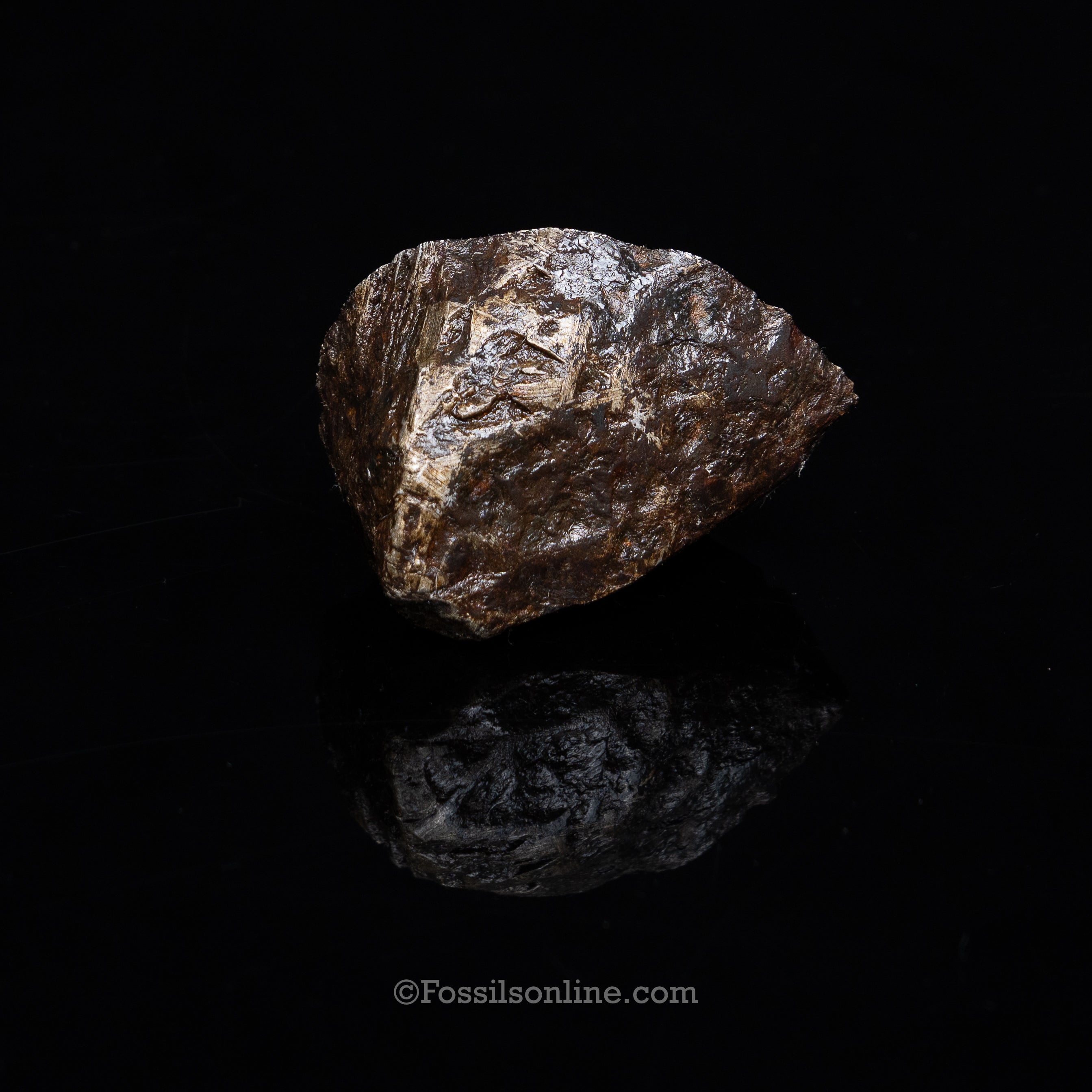 Muonionalusta Meteorite End cut 349gr