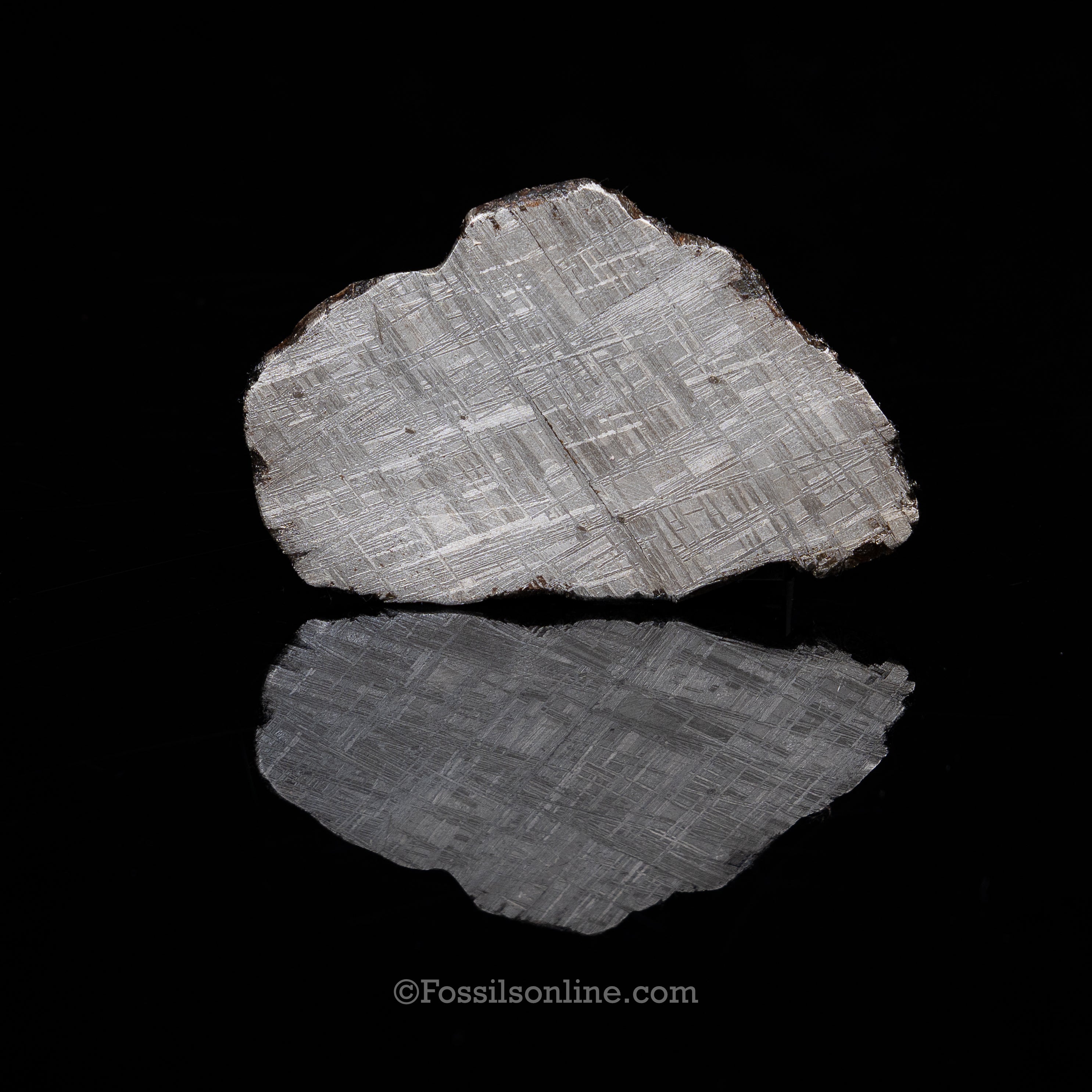 Muonionalusta Meteorite Slice 127.5gr