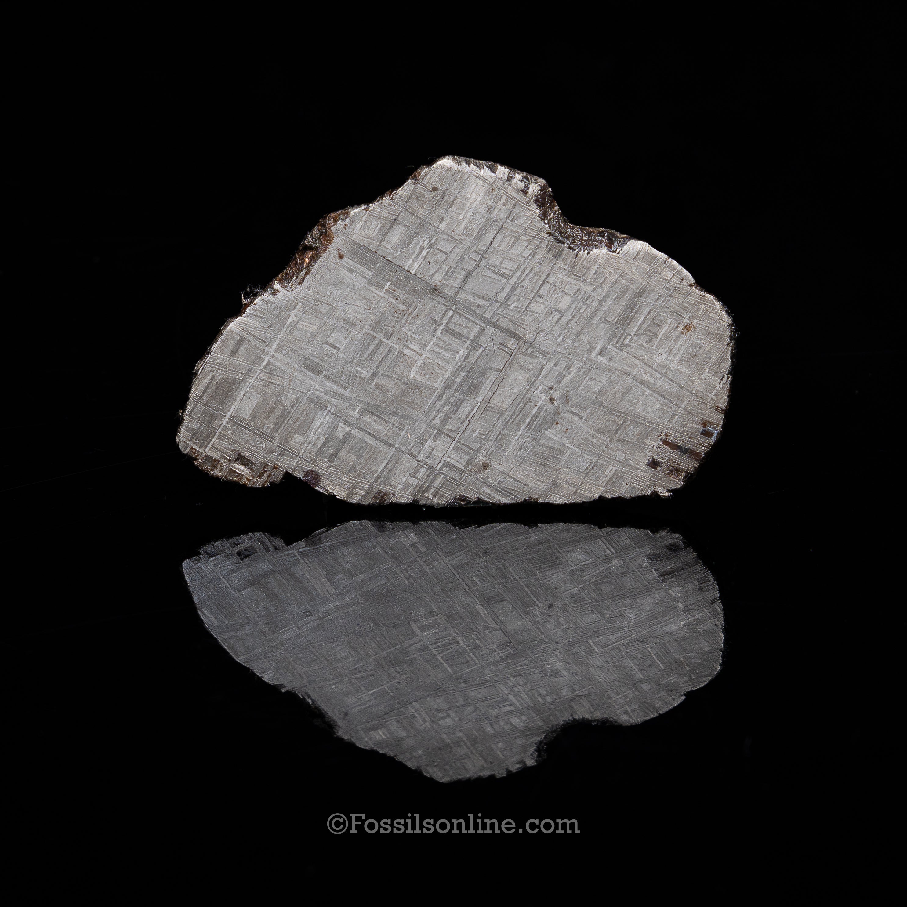 Muonionalusta Meteorite Slice 127.5gr