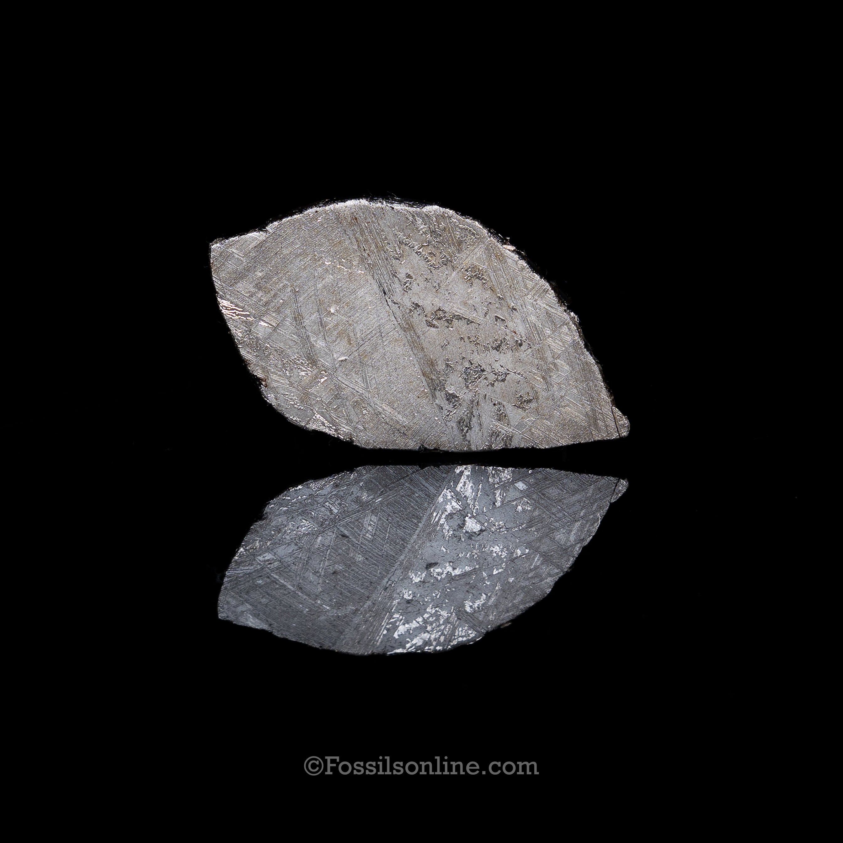 Muonionalusta Meteorite Slice 58gr