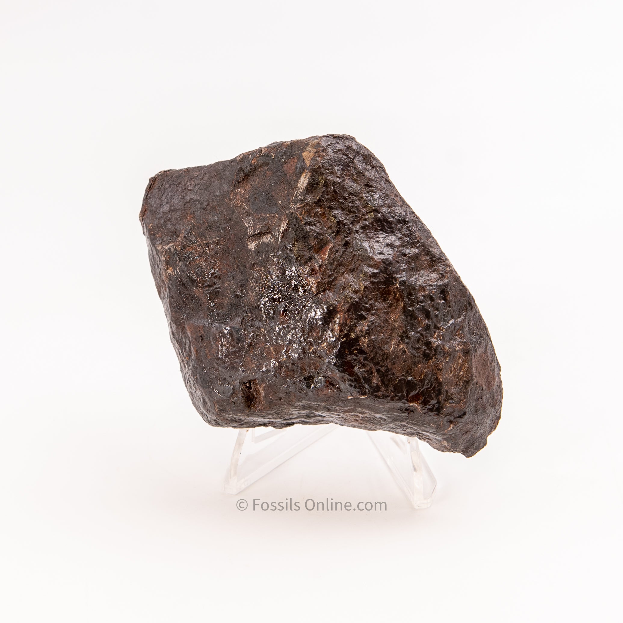 Muonionalusta Meteorite End Cut 1007gr and 1082 gr
