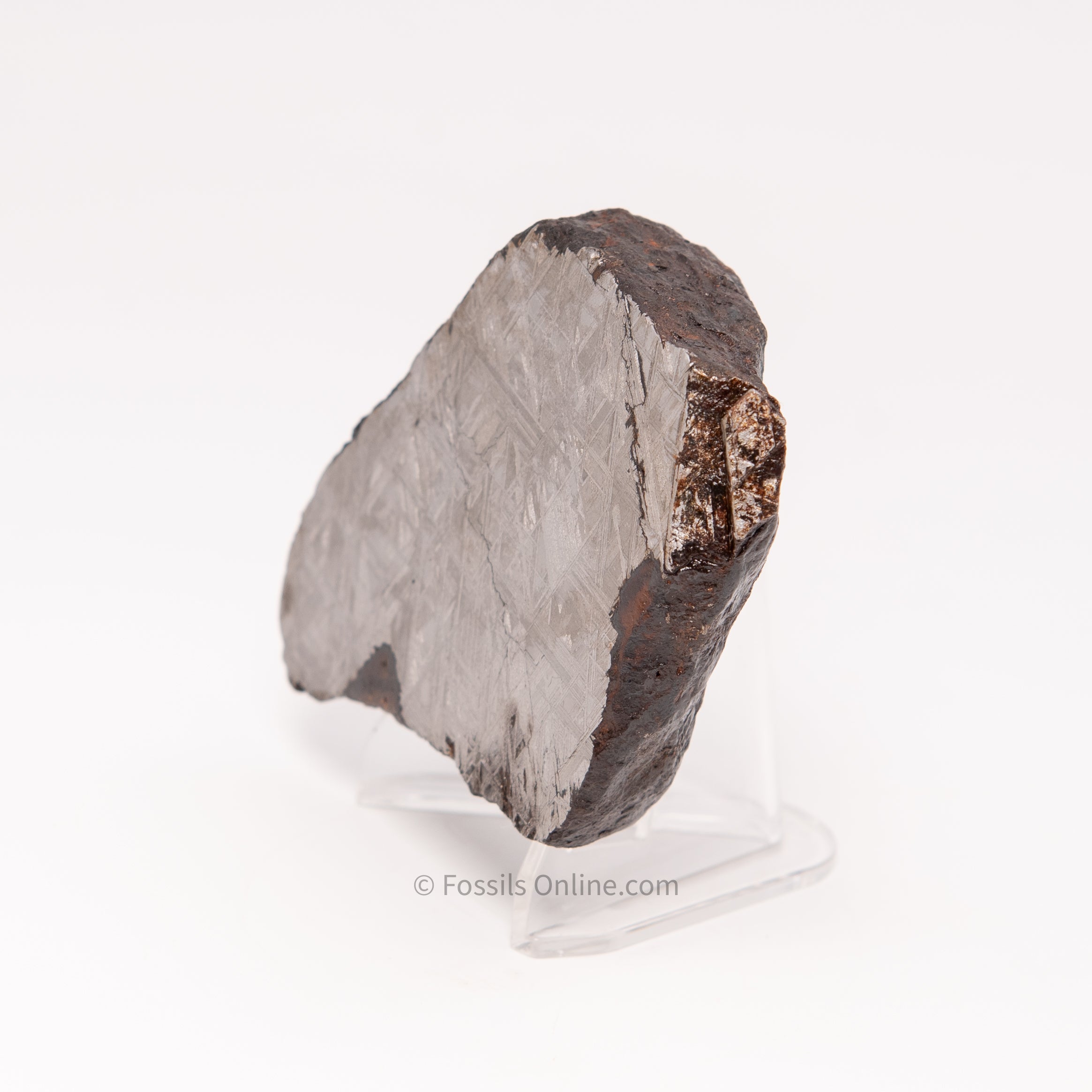 Muonionalusta Meteorite End Cut 1007gr and 1082 gr