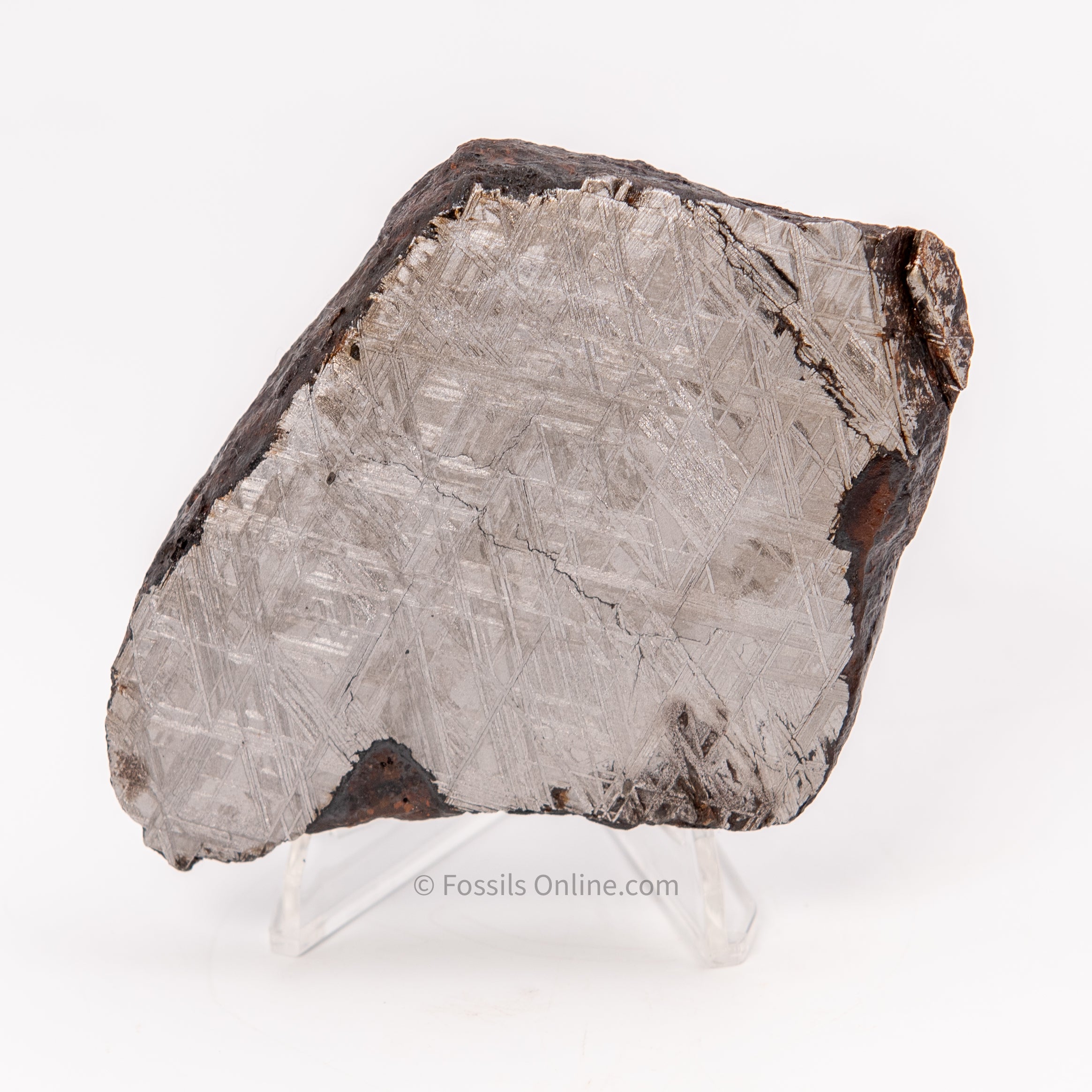 Muonionalusta Meteorite End Cut 1007gr and 1082 gr