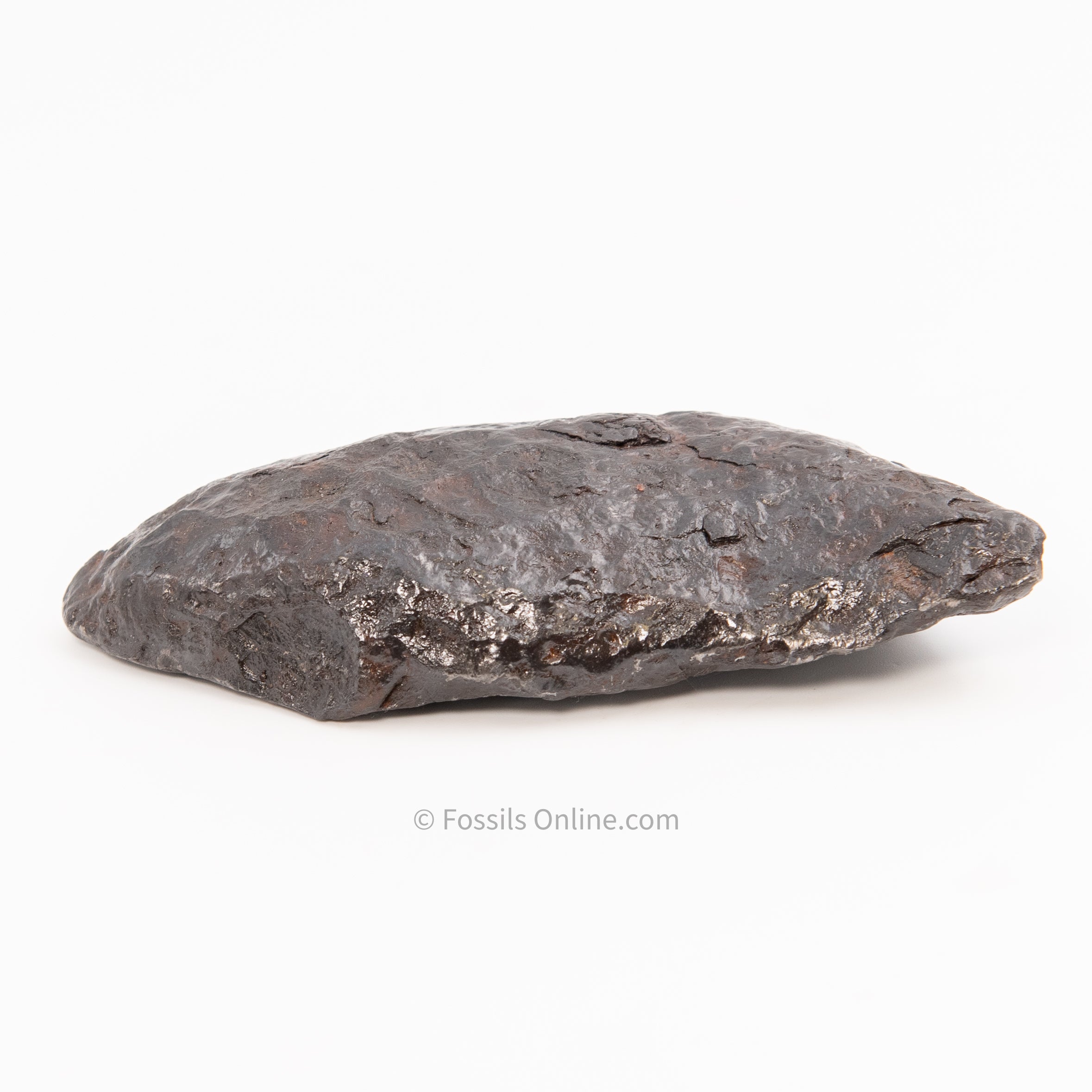 Muonionalusta Meteorite 1054gr
