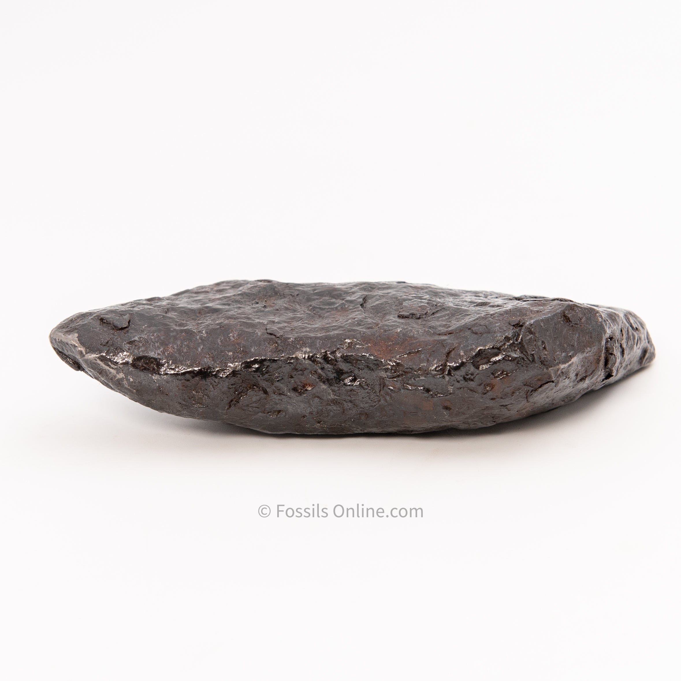 Muonionalusta Meteorite 1054gr