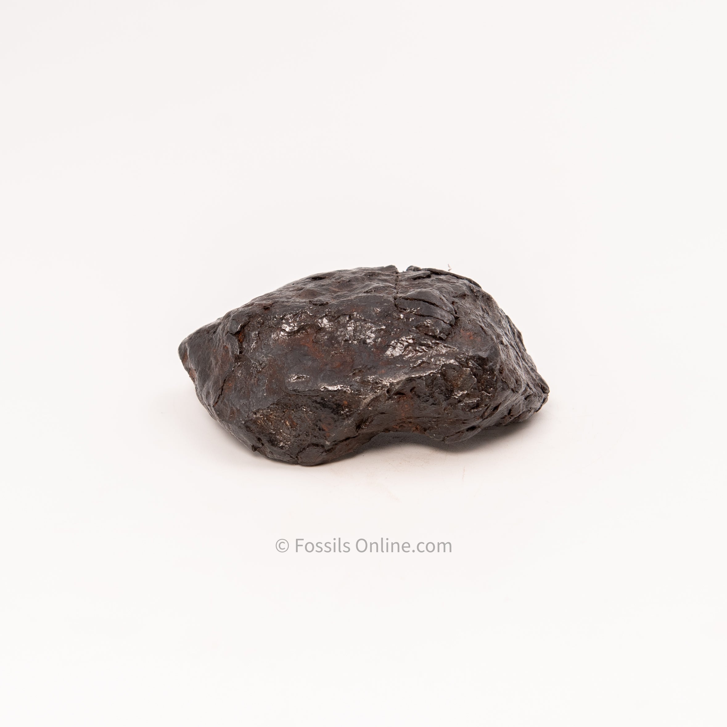 Muonionalusta Meteorite 615gr