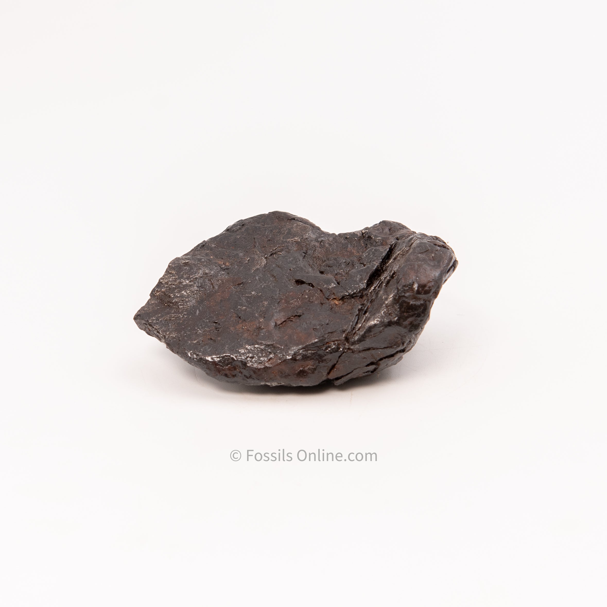 Muonionalusta Meteorite 615gr