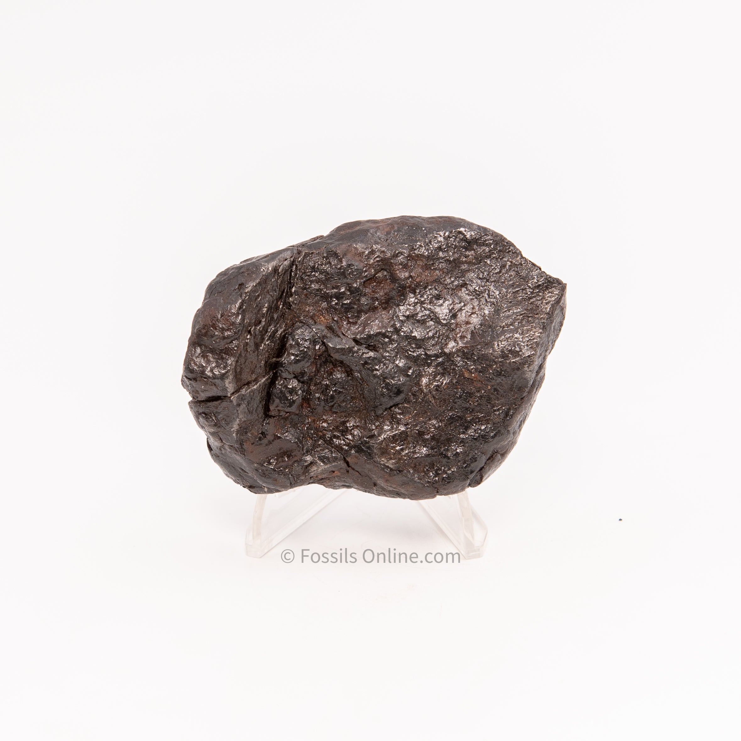 Muonionalusta Meteorite 615gr