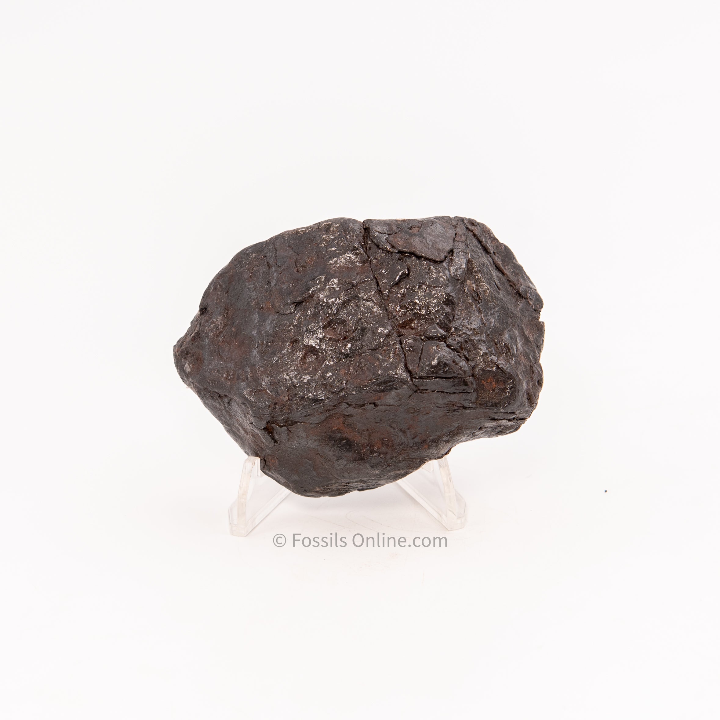 Muonionalusta Meteorite 615gr