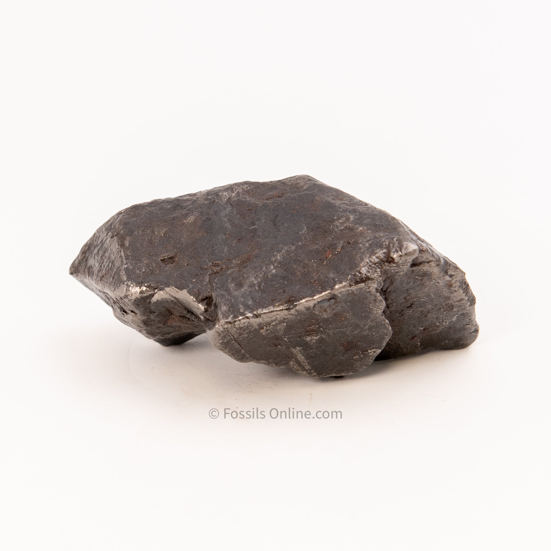 Muonionalusta Meteorite 830gr