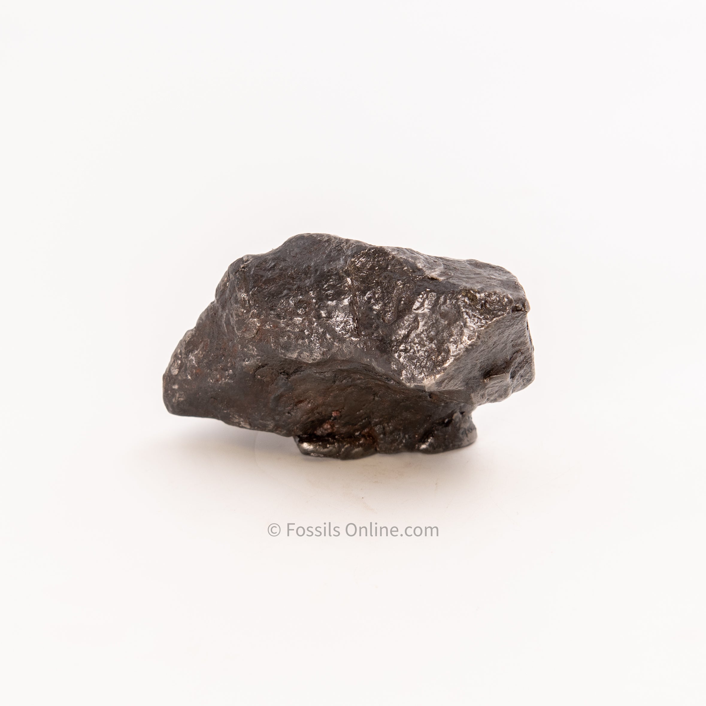 Muonionalusta Meteorite 830gr