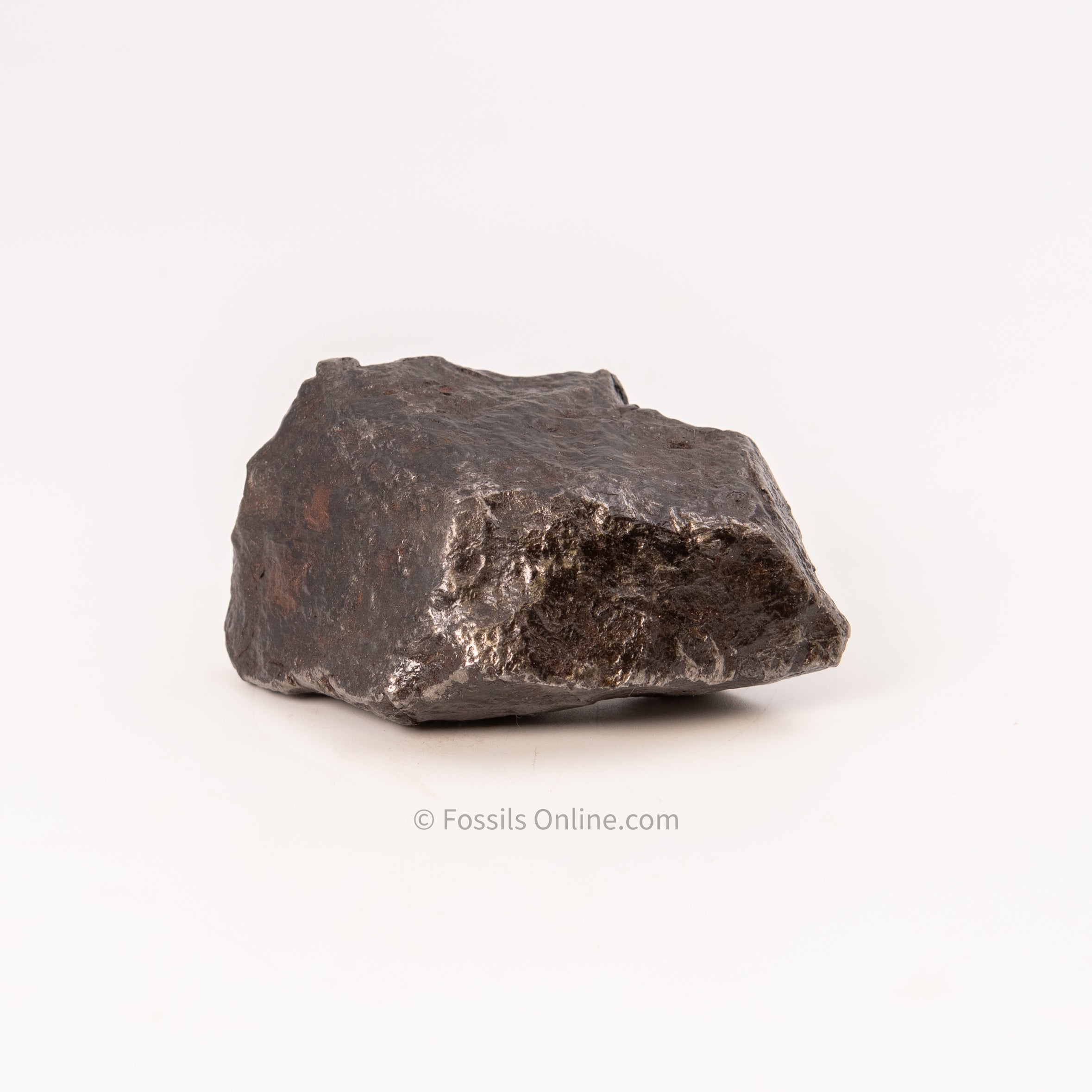 Muonionalusta Meteorite 830gr