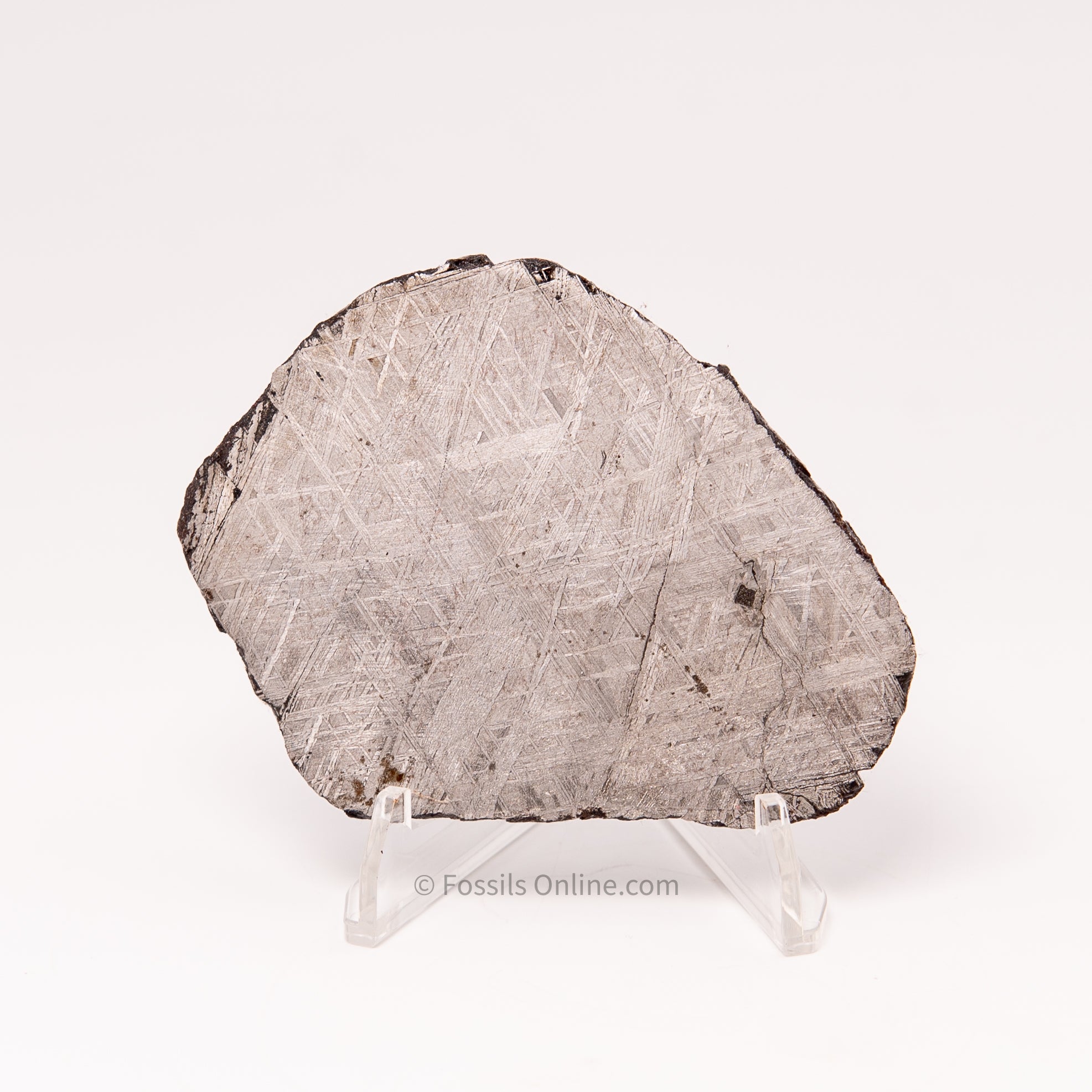 Muonionalusta Meteorite Slice 139gr