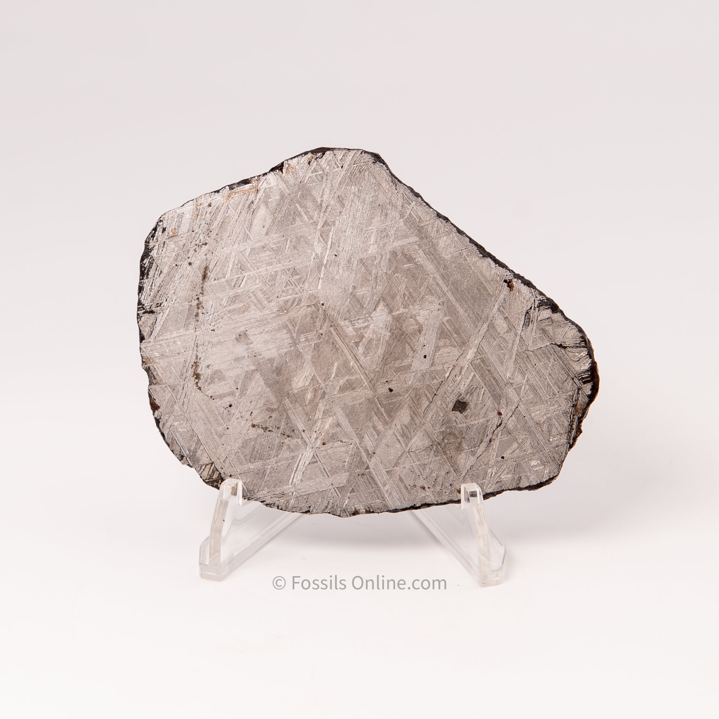 Muonionalusta Meteorite Slice 145gr