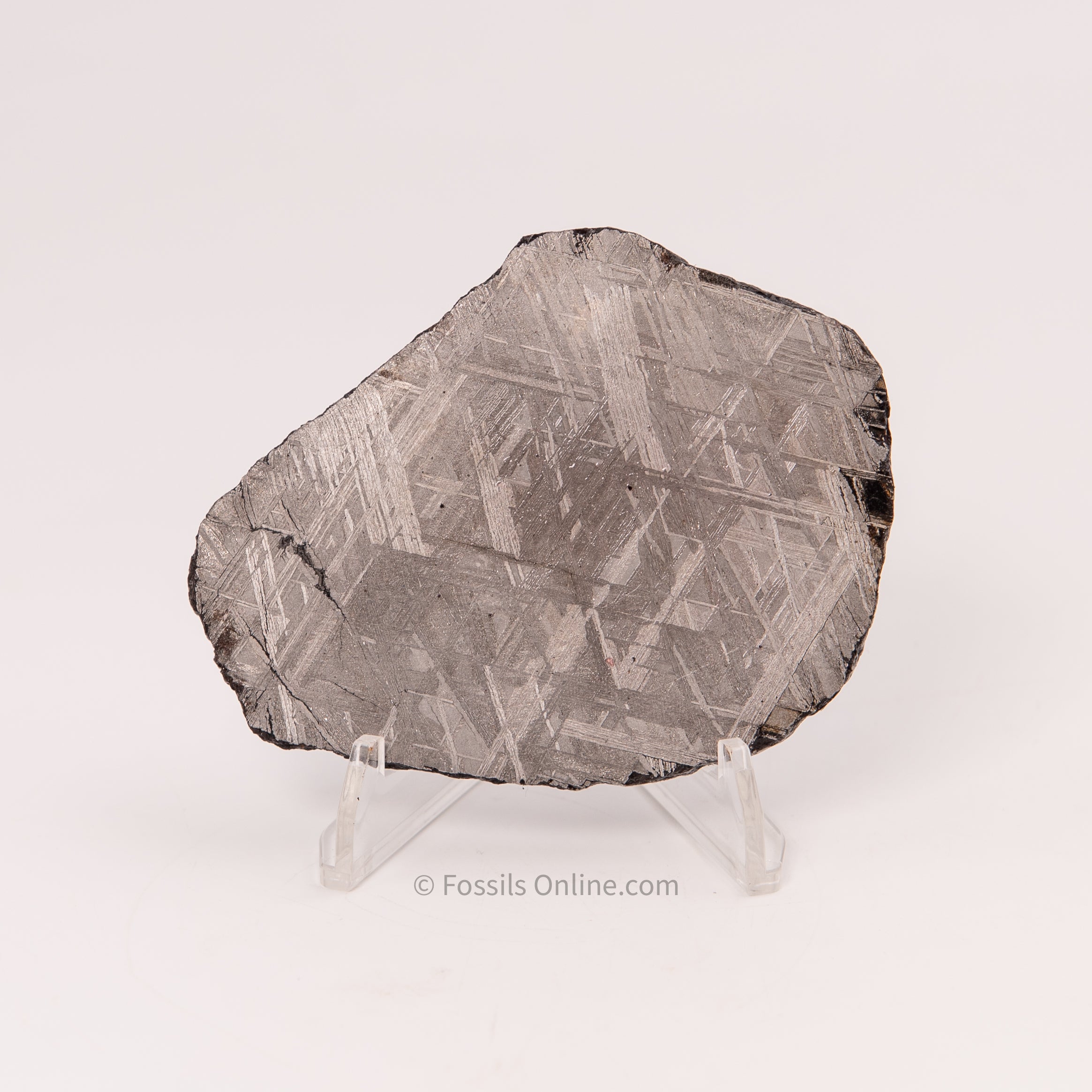 Muonionalusta Meteorite Slice 145gr