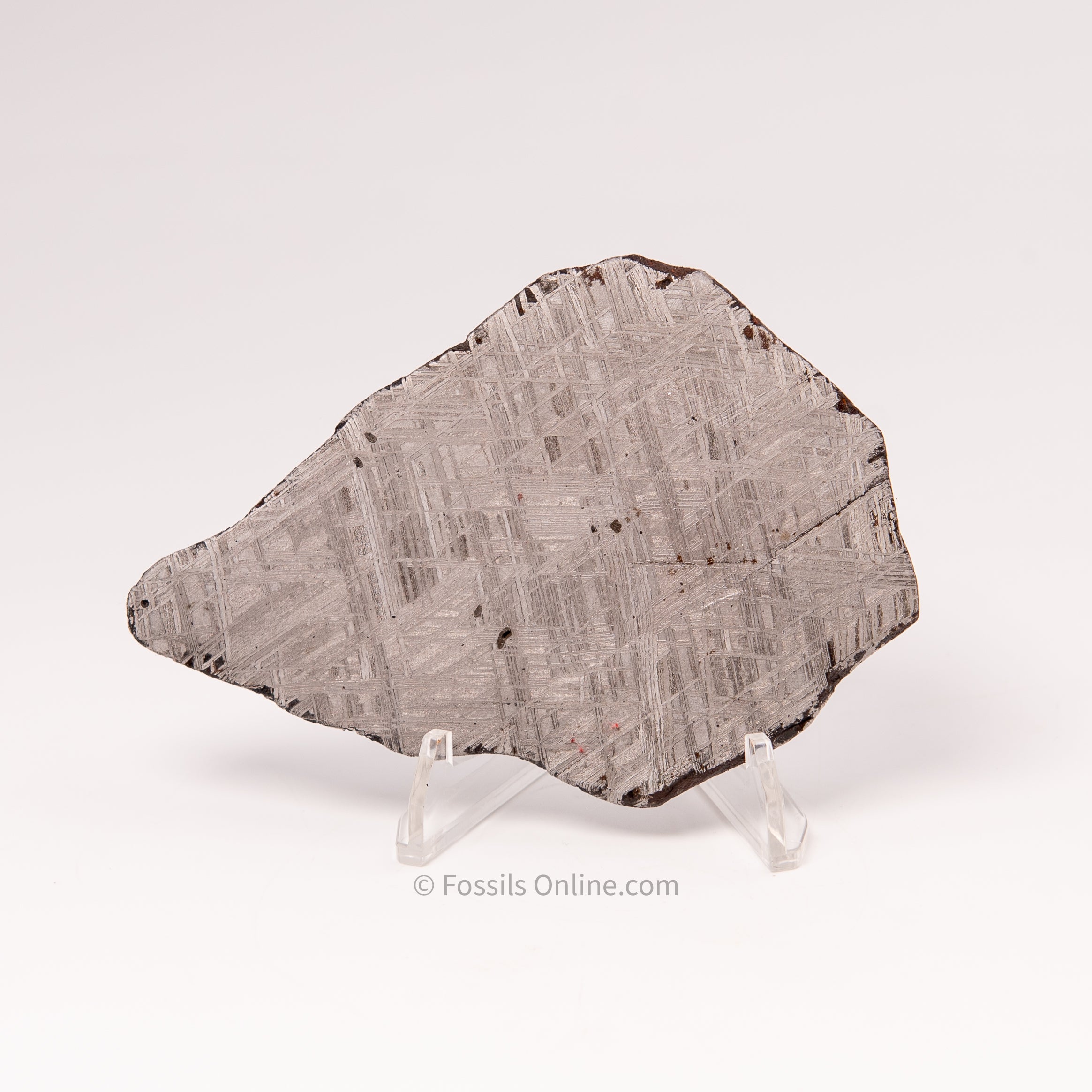 Muonionalusta Meteorite Slice 145gr
