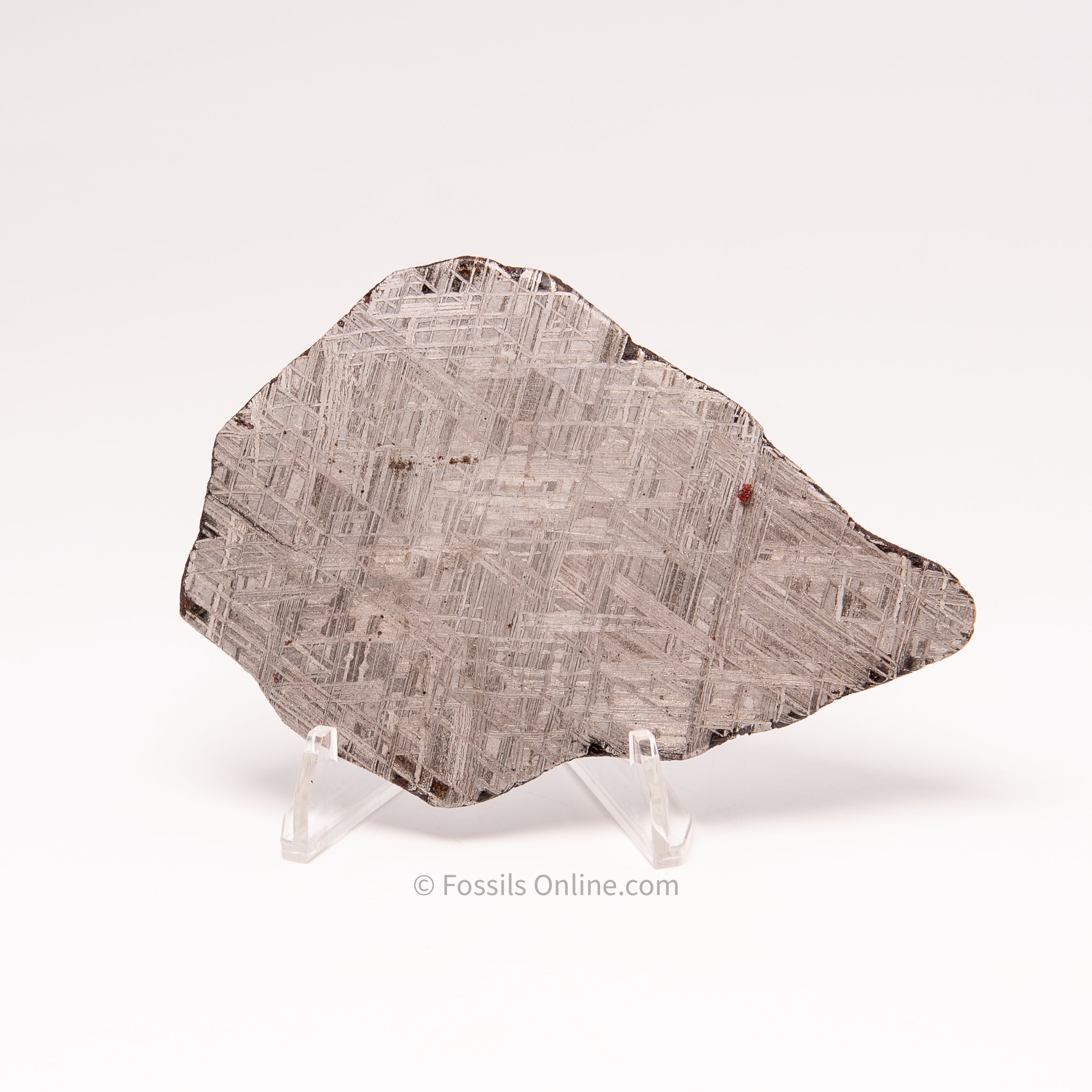 Muonionalusta Meteorite Slice 145gr