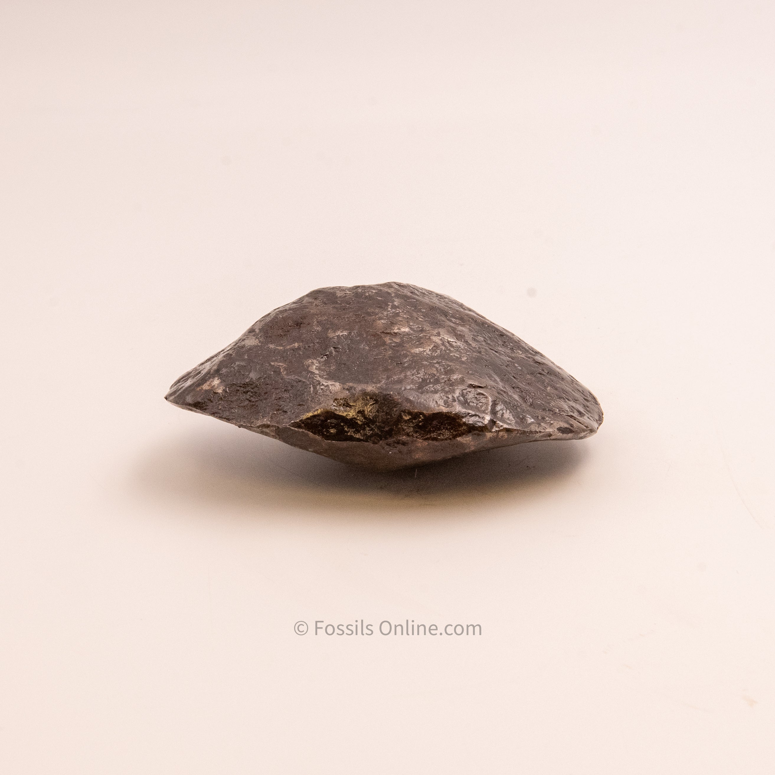 Muonionalusta Meteorite 1548gr
