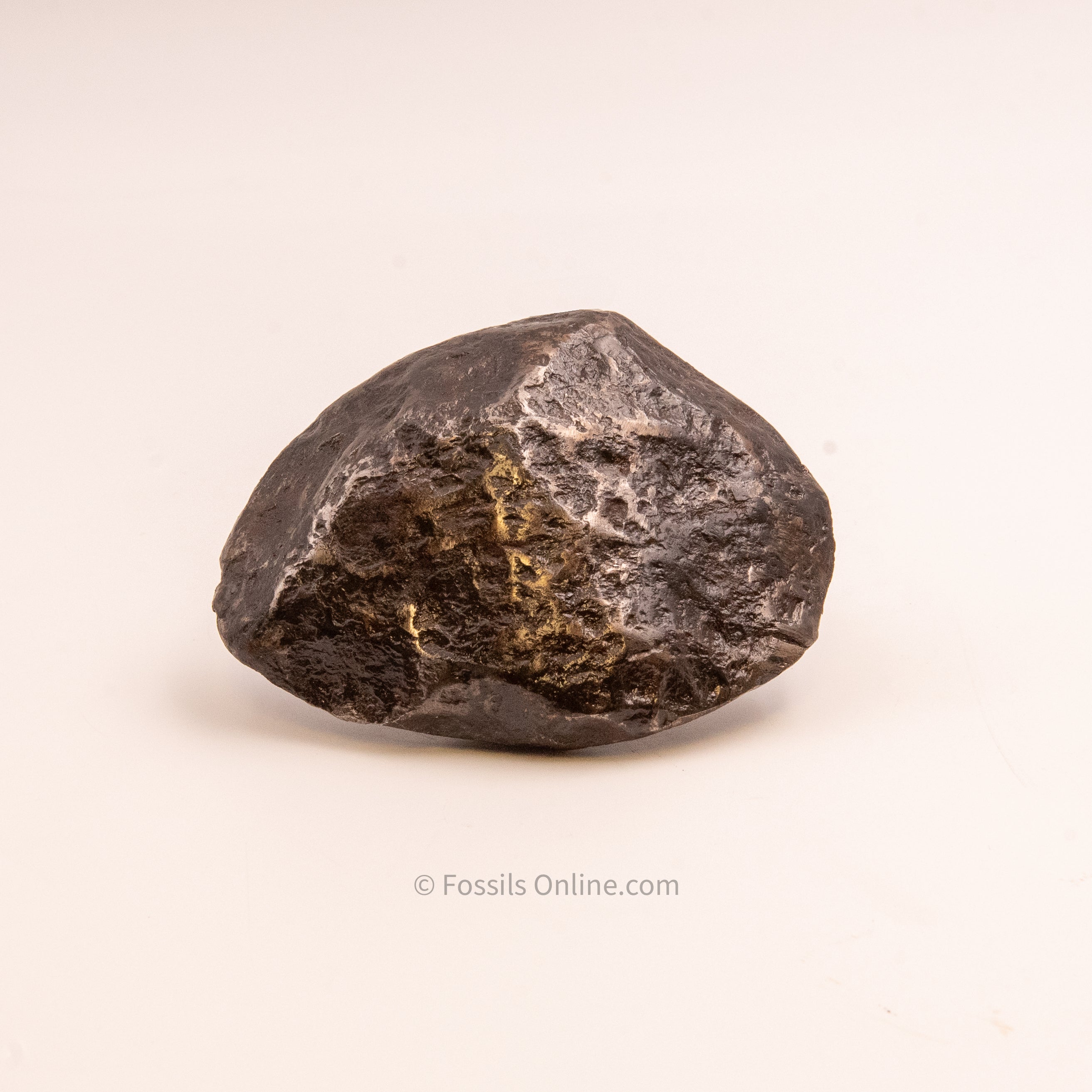 Muonionalusta Meteorite 1548gr