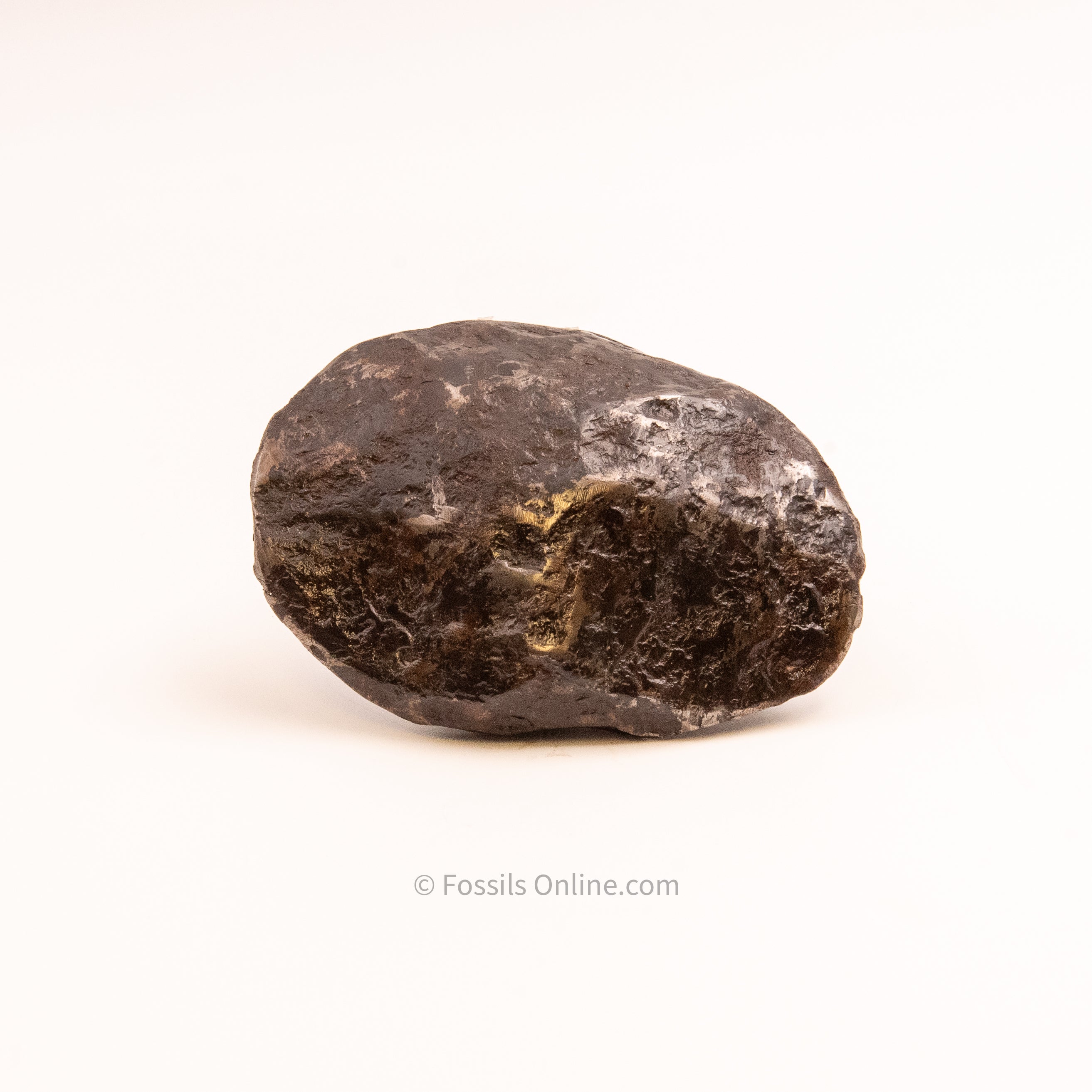 Muonionalusta Meteorite 1548gr