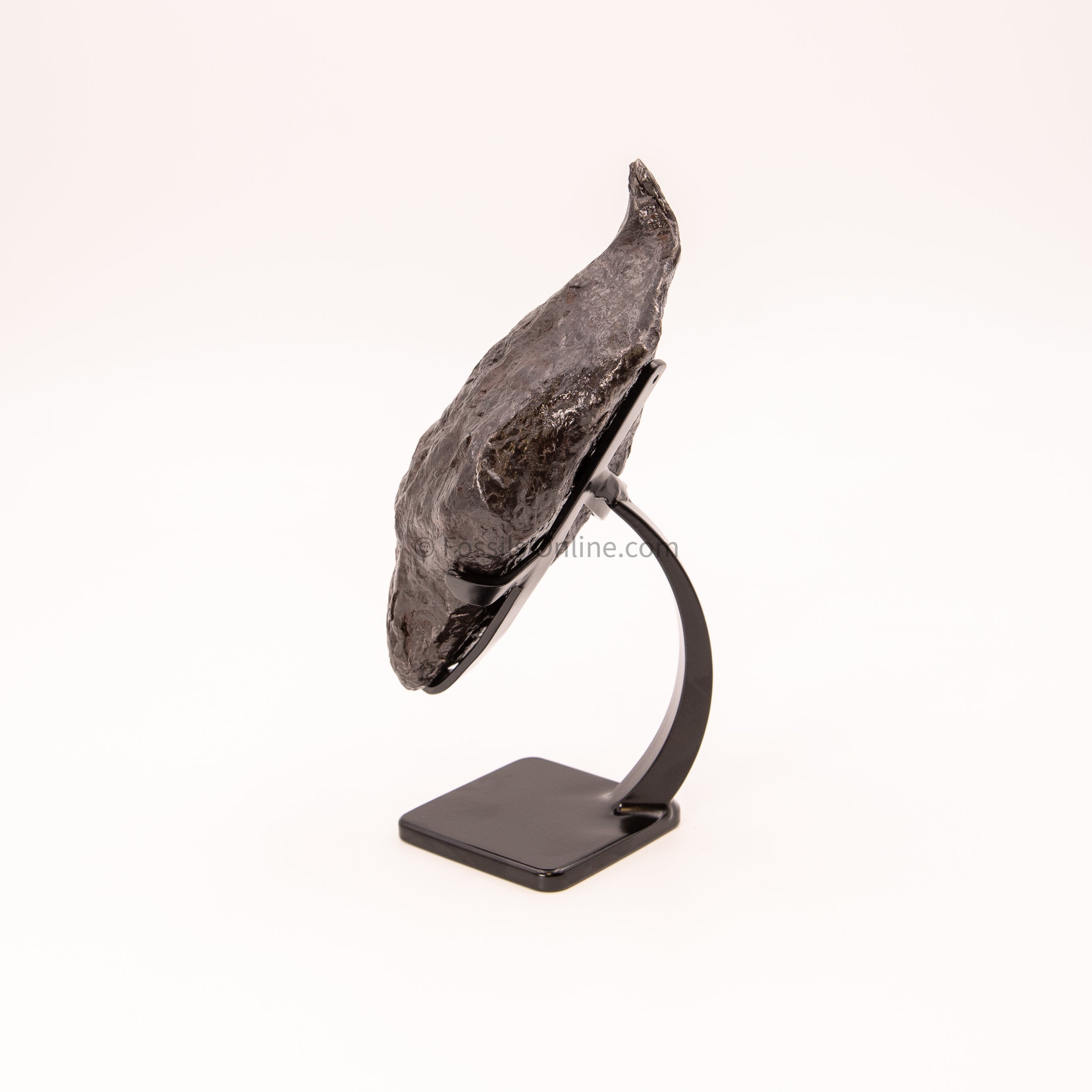 Muonionalusta Meteorite 2065g